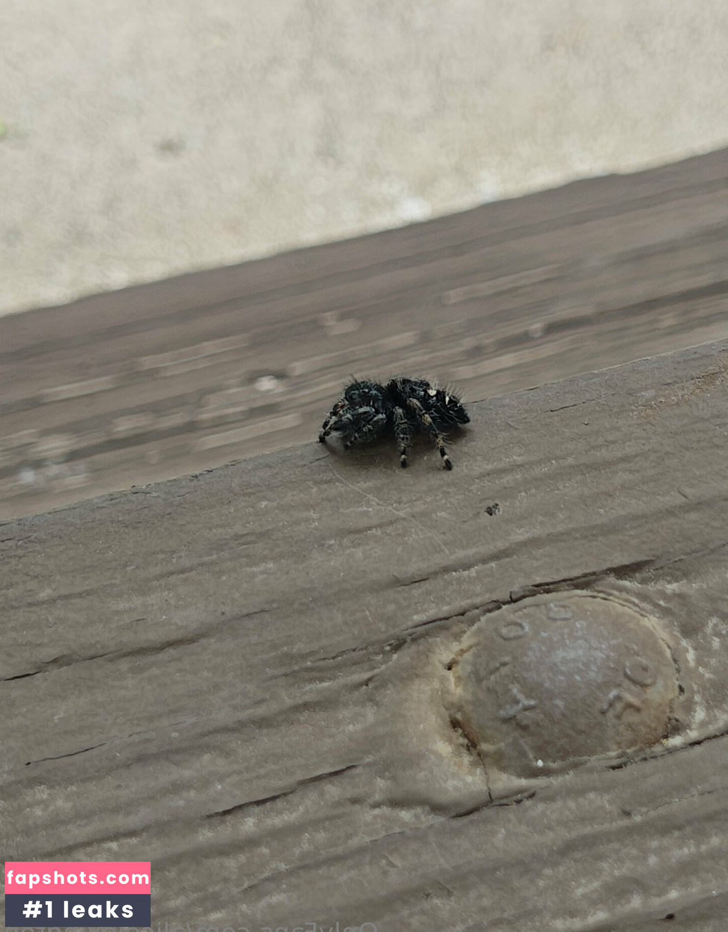 alicelexington gallery photo #11