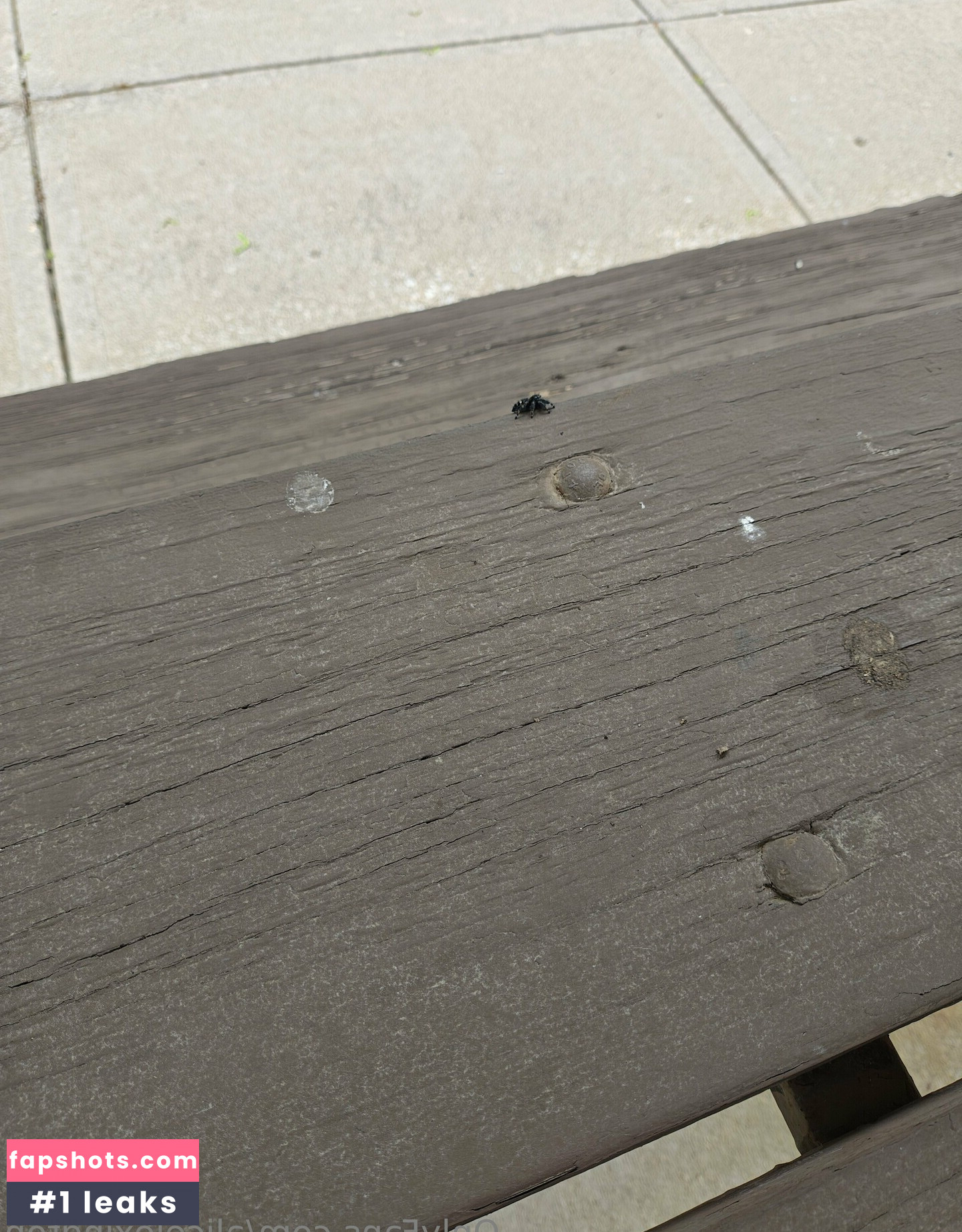 alicelexington gallery photo #4