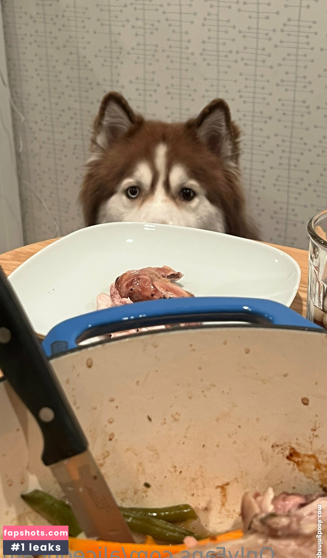 aliceoncam gallery photo #76