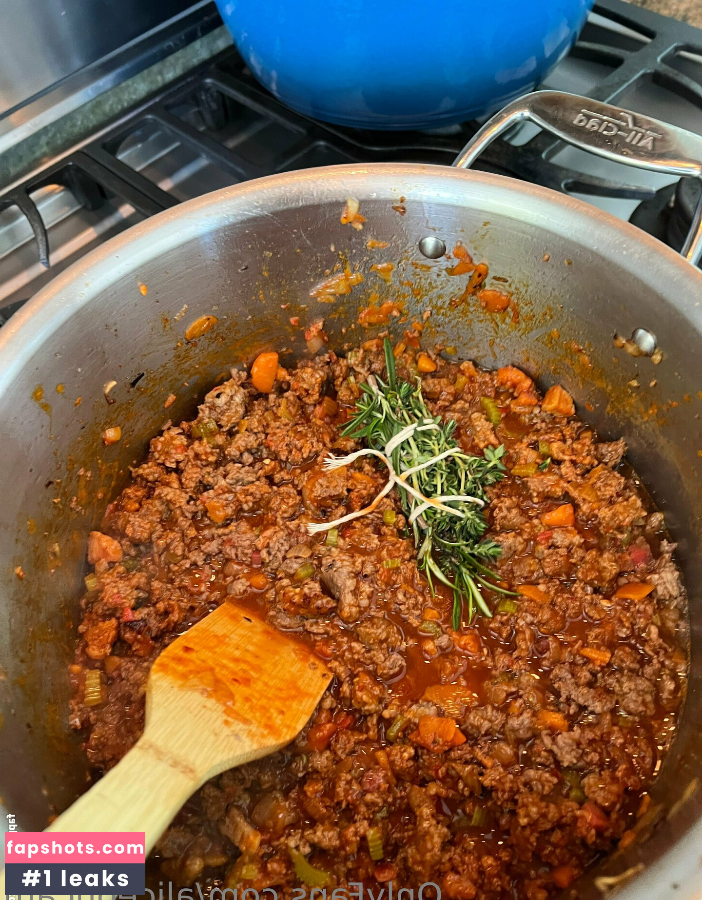 aliceoncam gallery photo #100