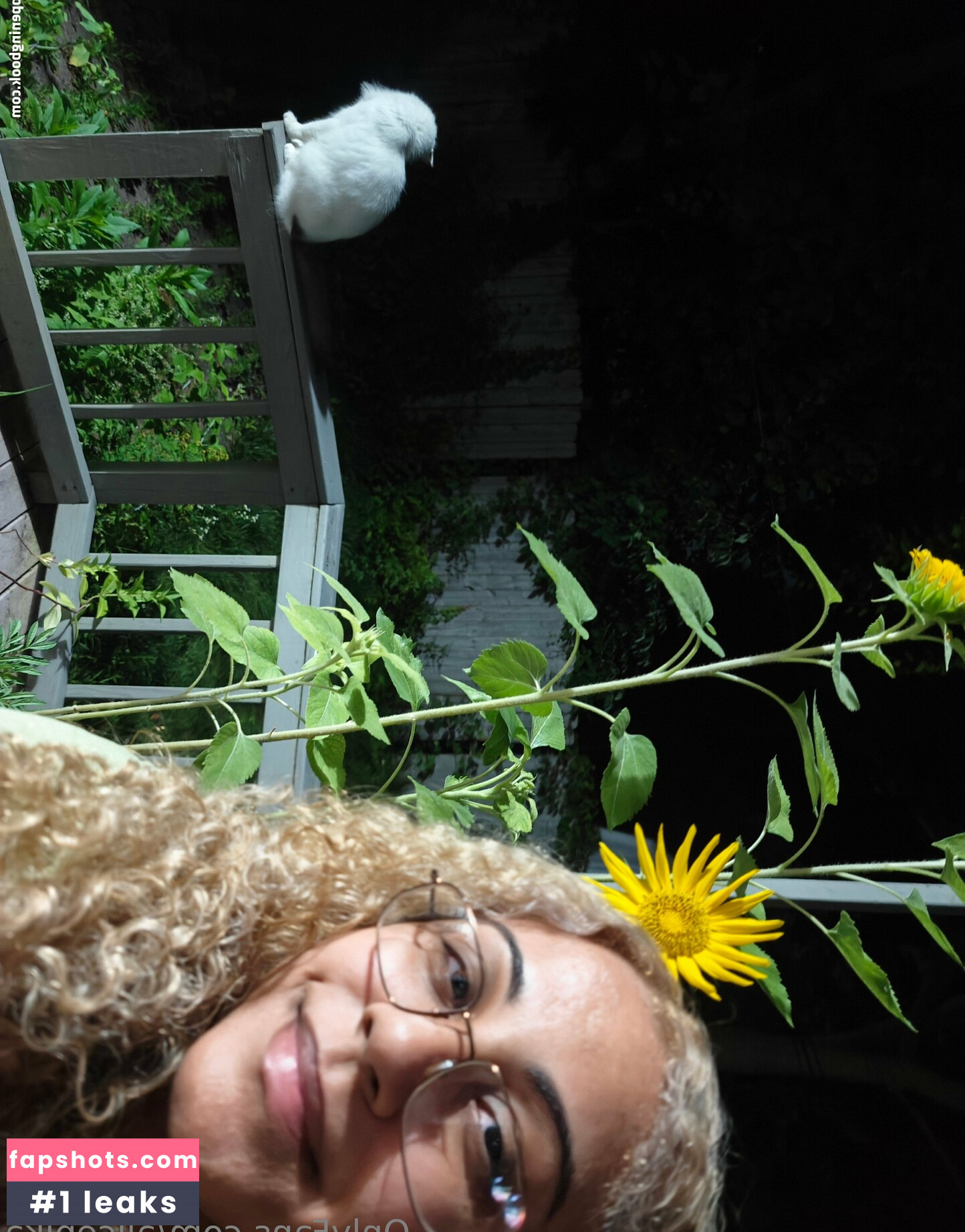 alicepika gallery photo #26