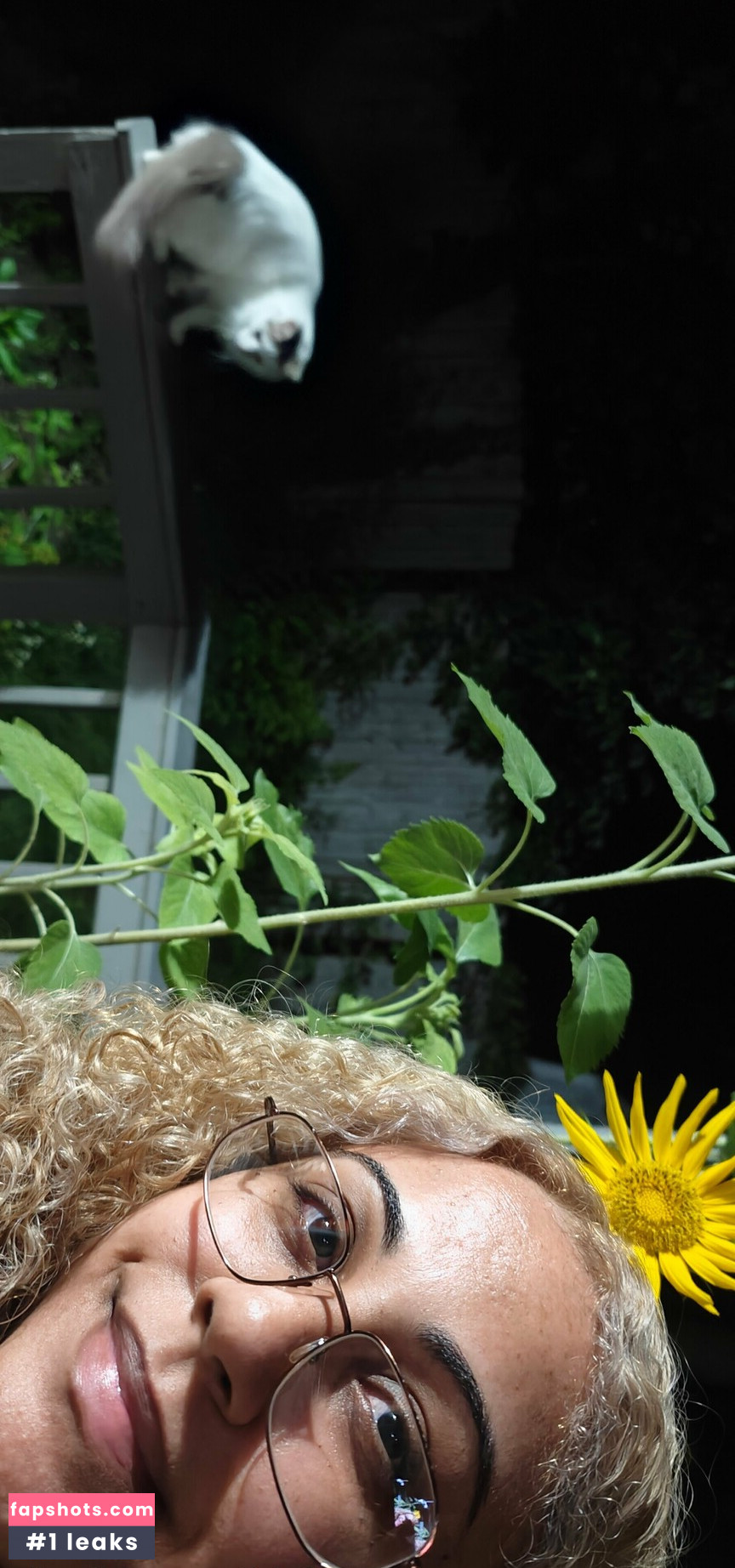 alicepika gallery photo #28