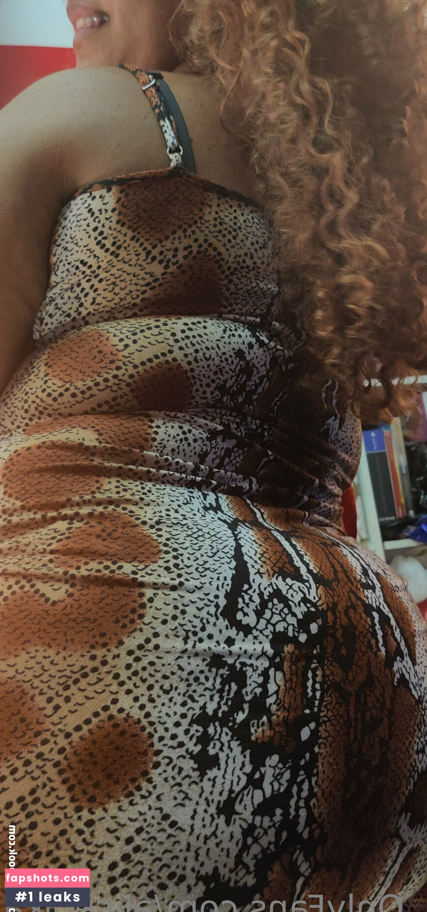 alicepika gallery photo #35