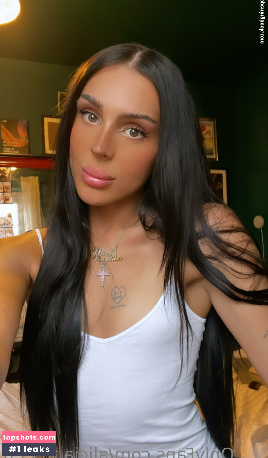 alicia.freee0 gallery photo #21