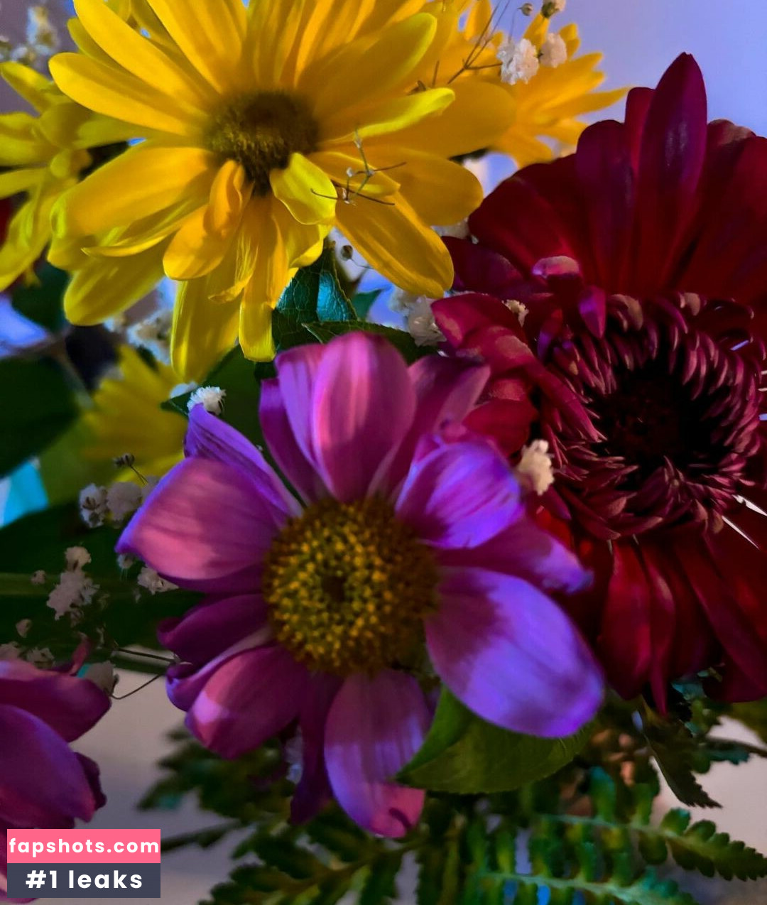 Alicia Laroche gallery photo #10