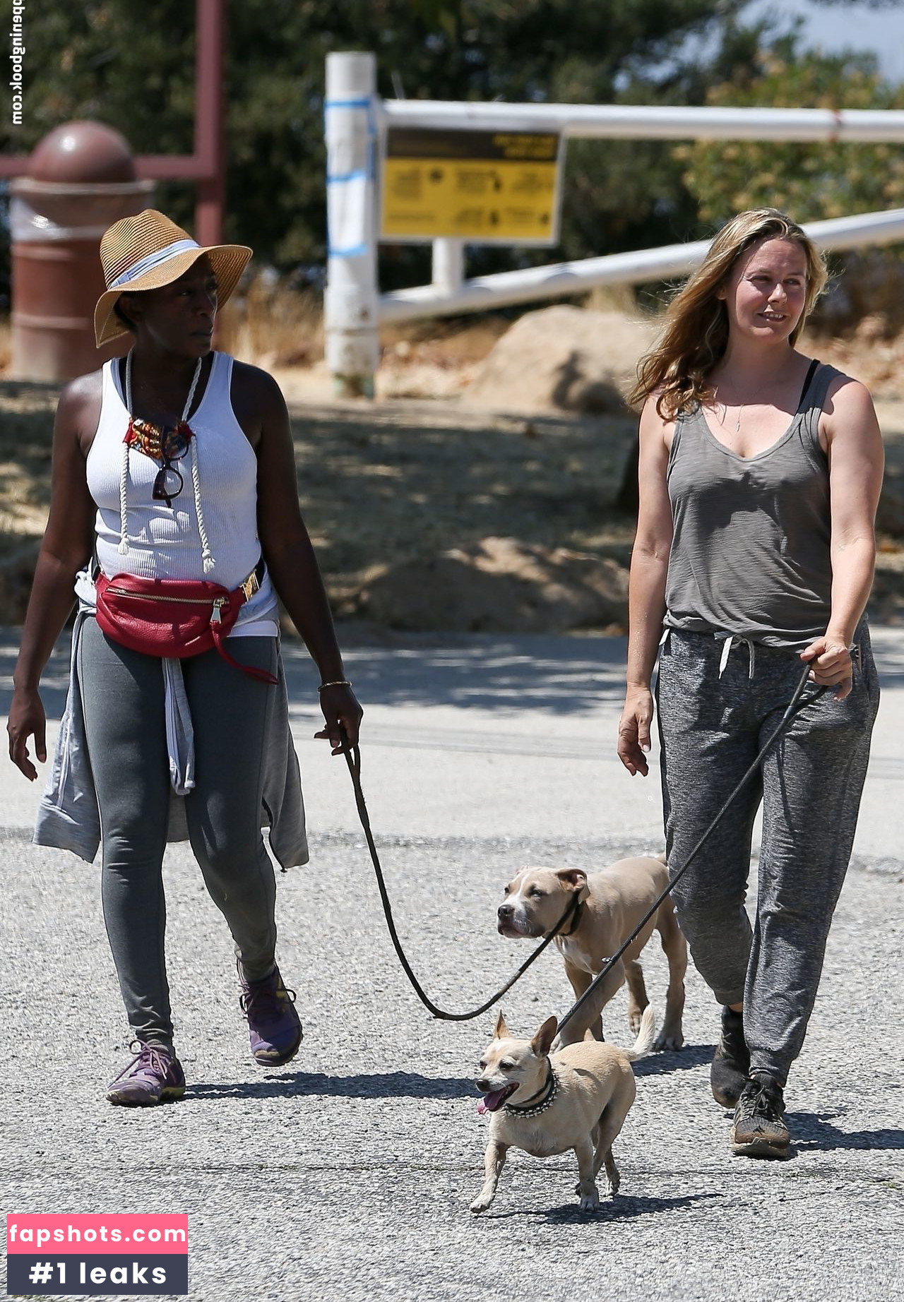 Alicia Silverstone gallery photo #104