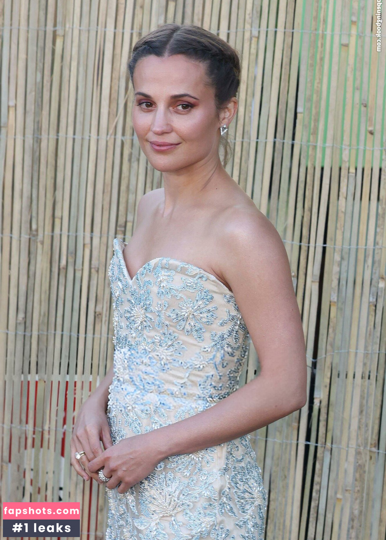 Alicia Vikander gallery photo #11