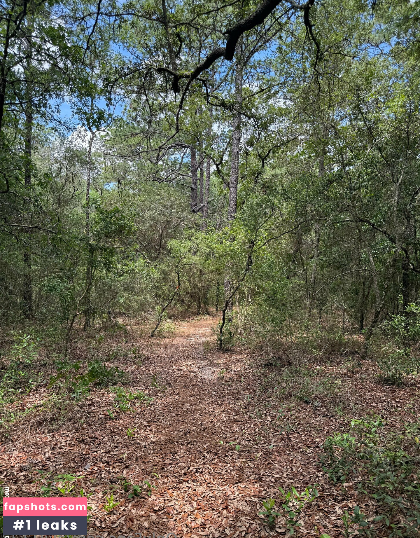 aliii1123 Nahé úniky fotek pouze od fanoušků #21 - Fapshots