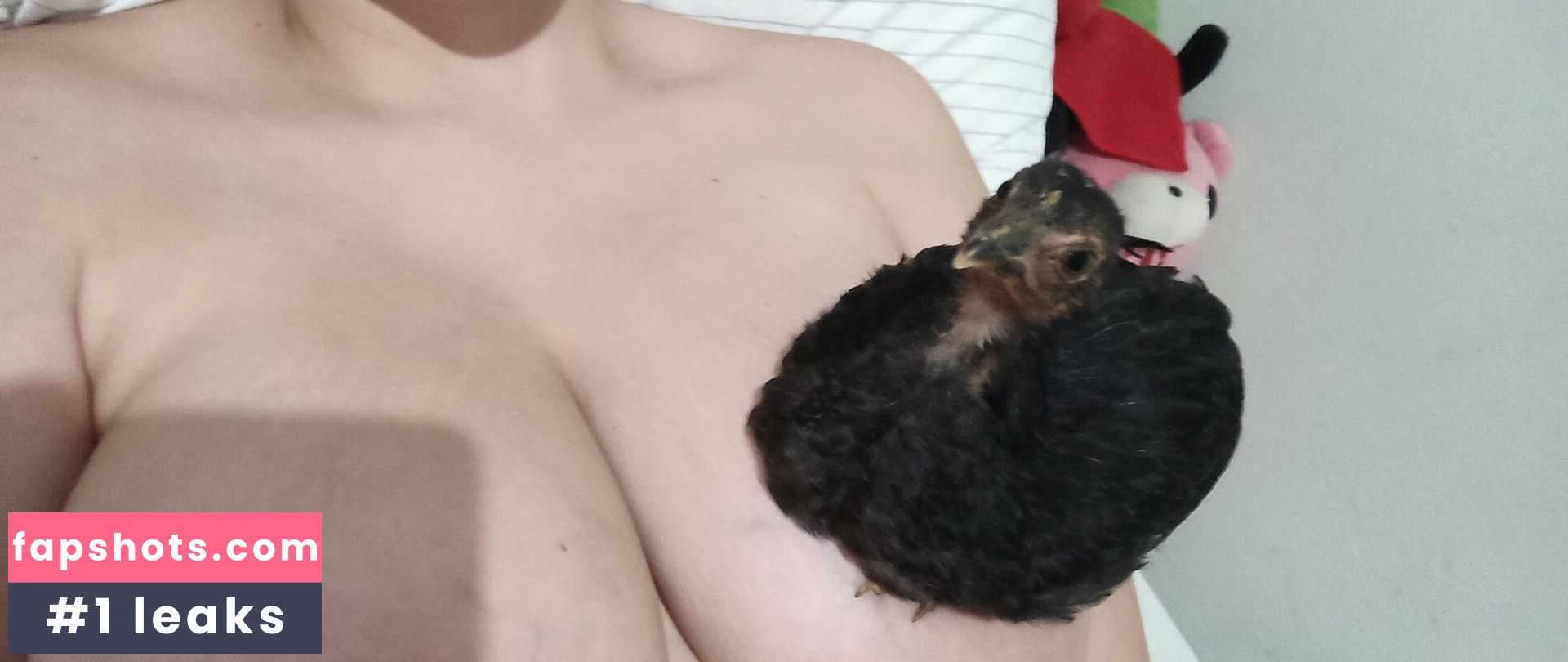 Alinorac gallery photo #12