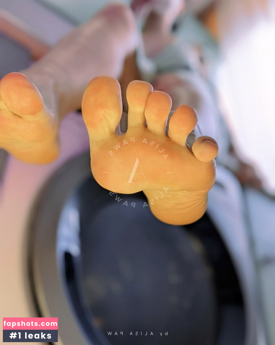 Alisa Paws gallery photo #19