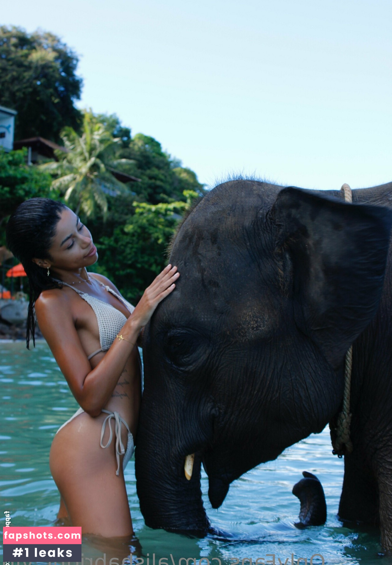 alishabright_vip Nahé úniky fotek pouze od fanoušků #40 - Fapshots