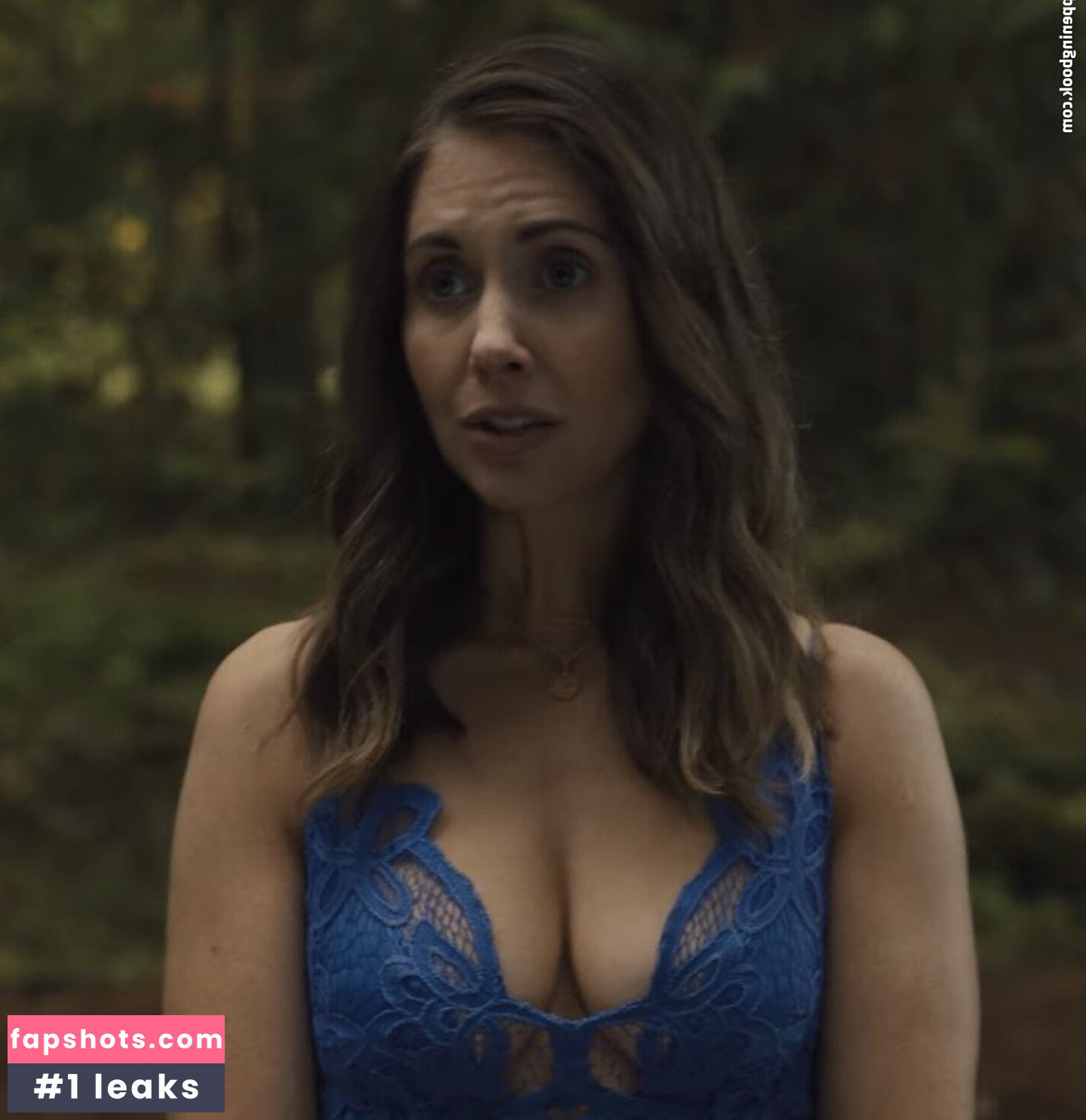 Alison Brie Nahé úniky fotek pouze od fanoušků #287 - Fapshots