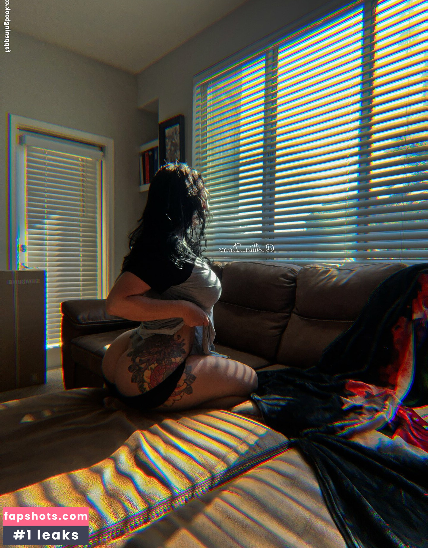 Alita Doses gallery photo #39