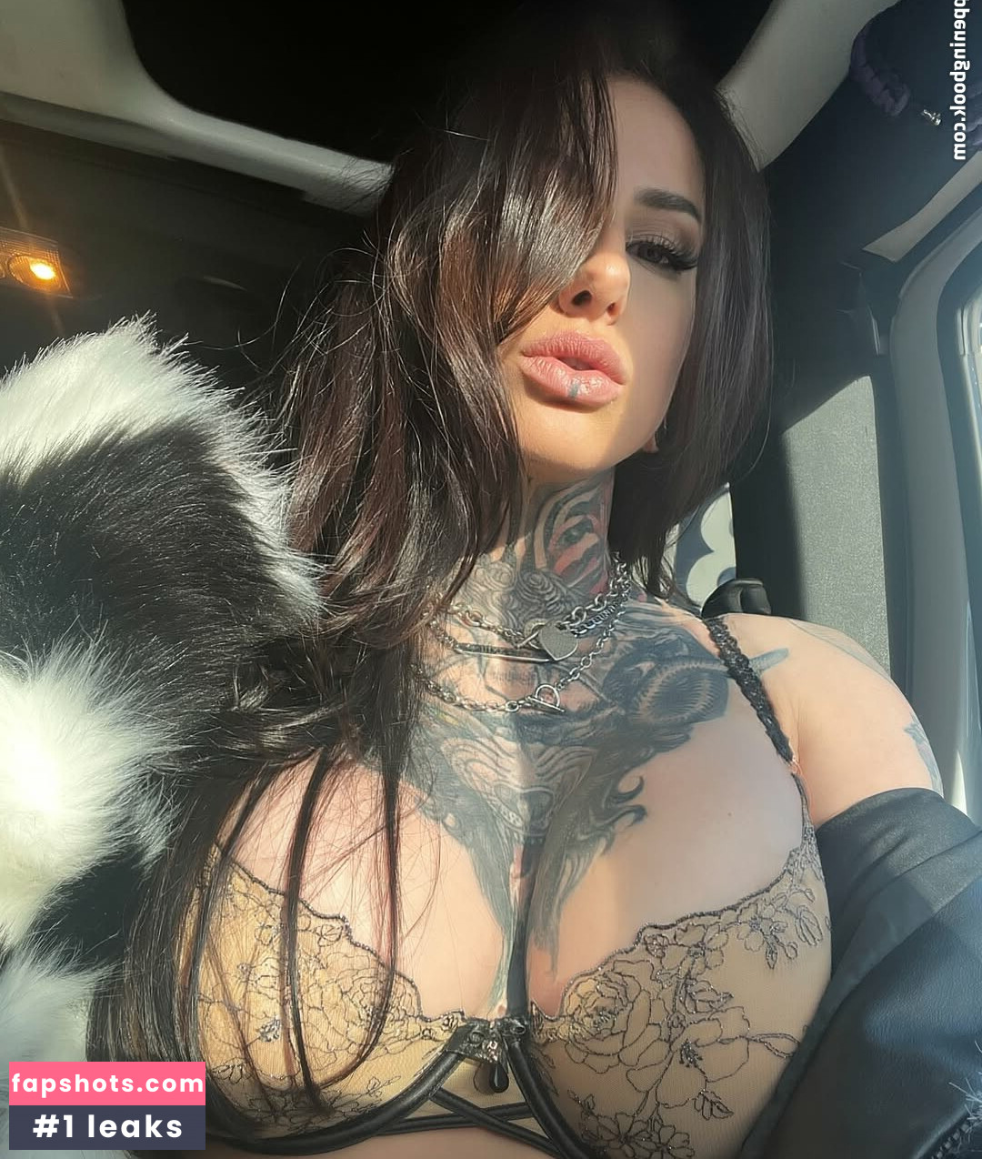 Alita Doses gallery photo #9