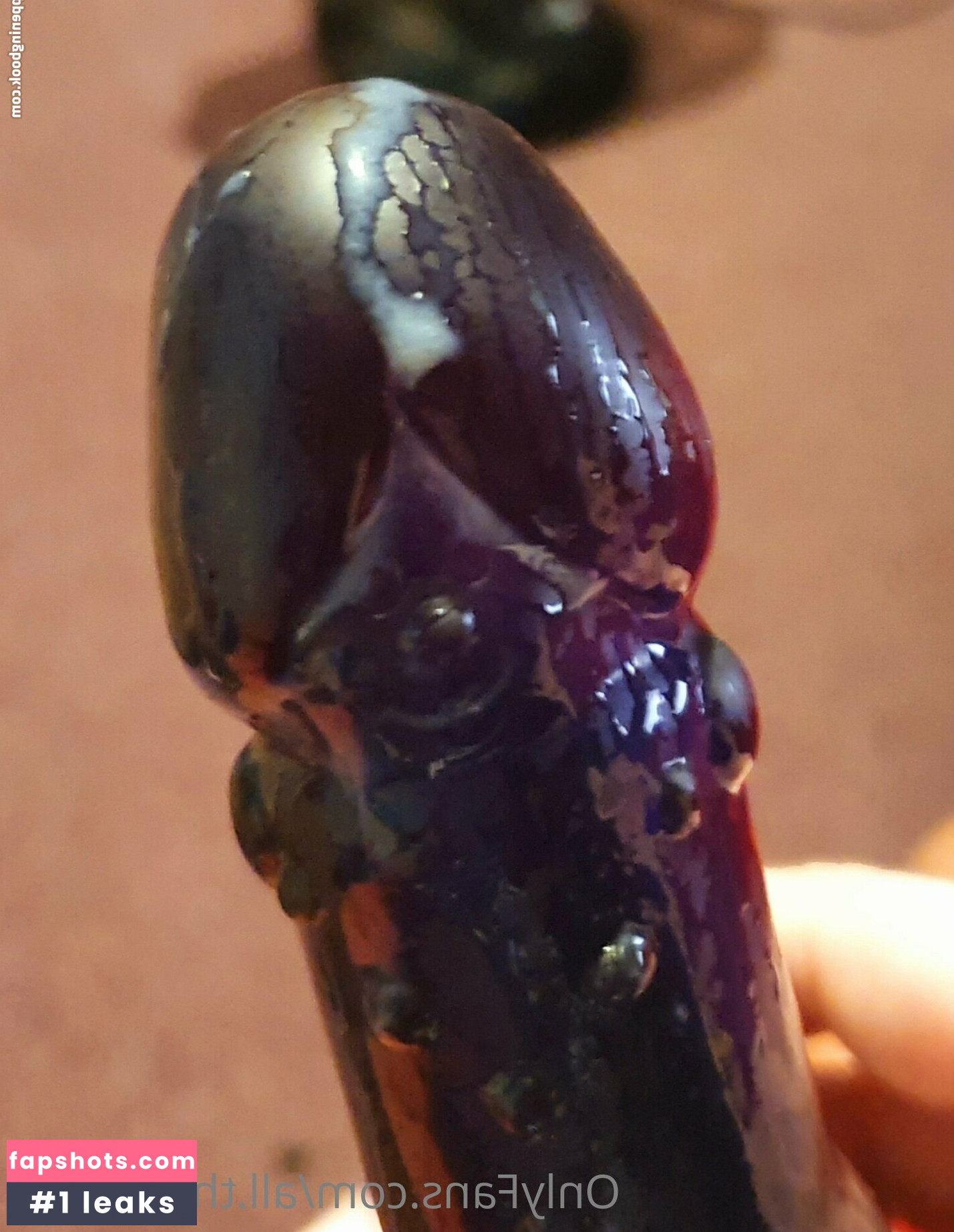 all.the.fluffies gallery photo #12