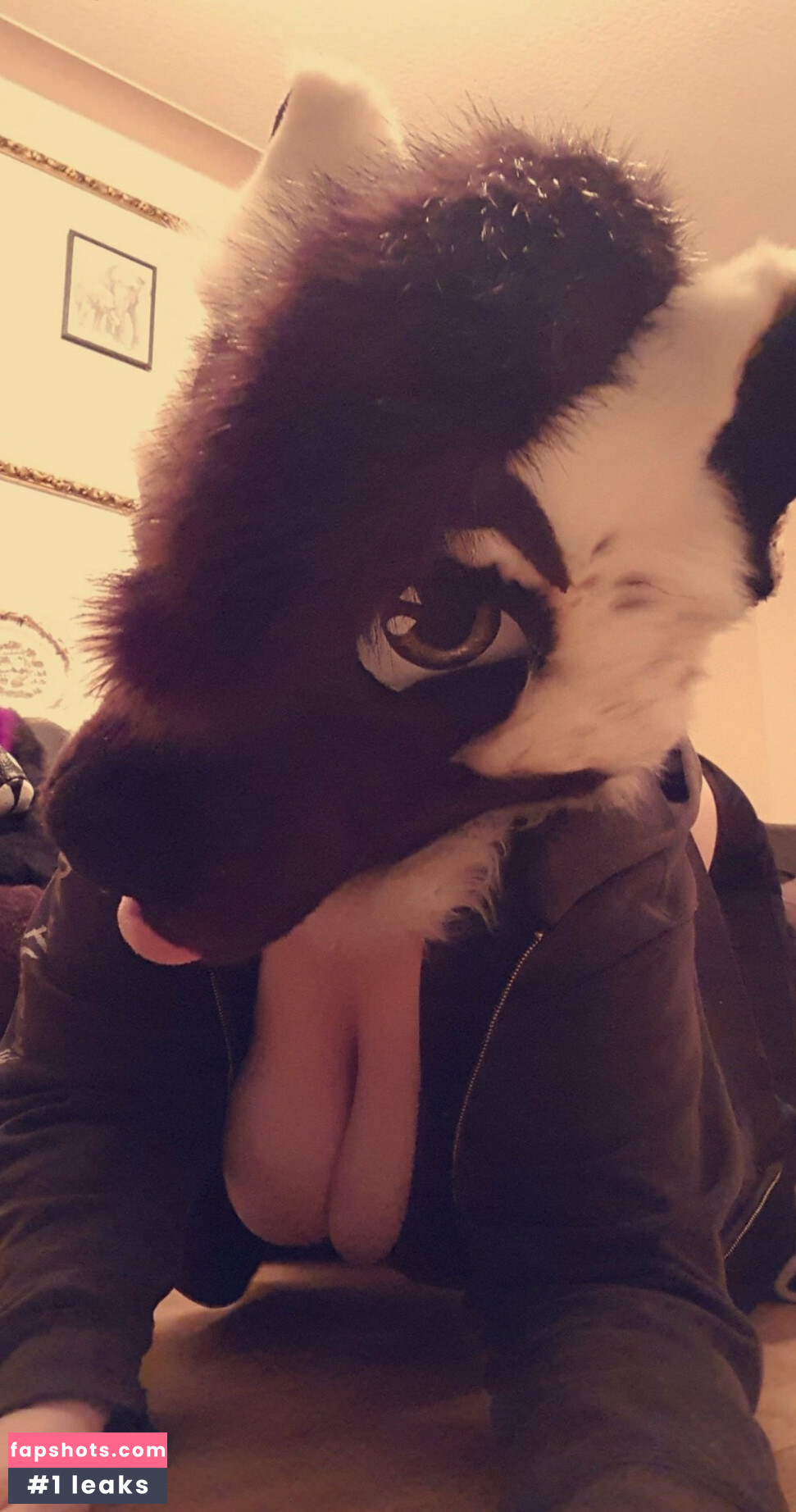 all.the.fluffies gallery photo #23