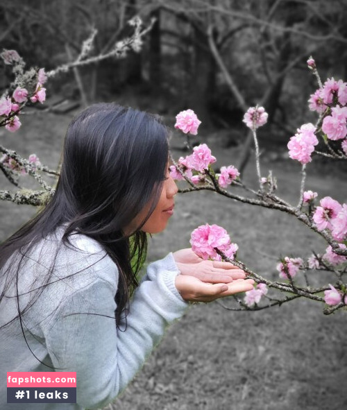 allforshow93 gallery photo #14