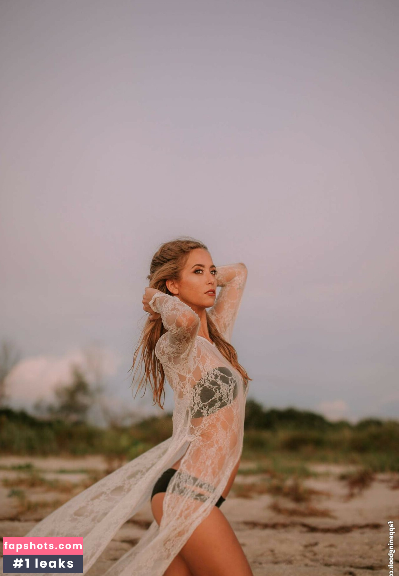 Allie Wes ~ gallery photo #24