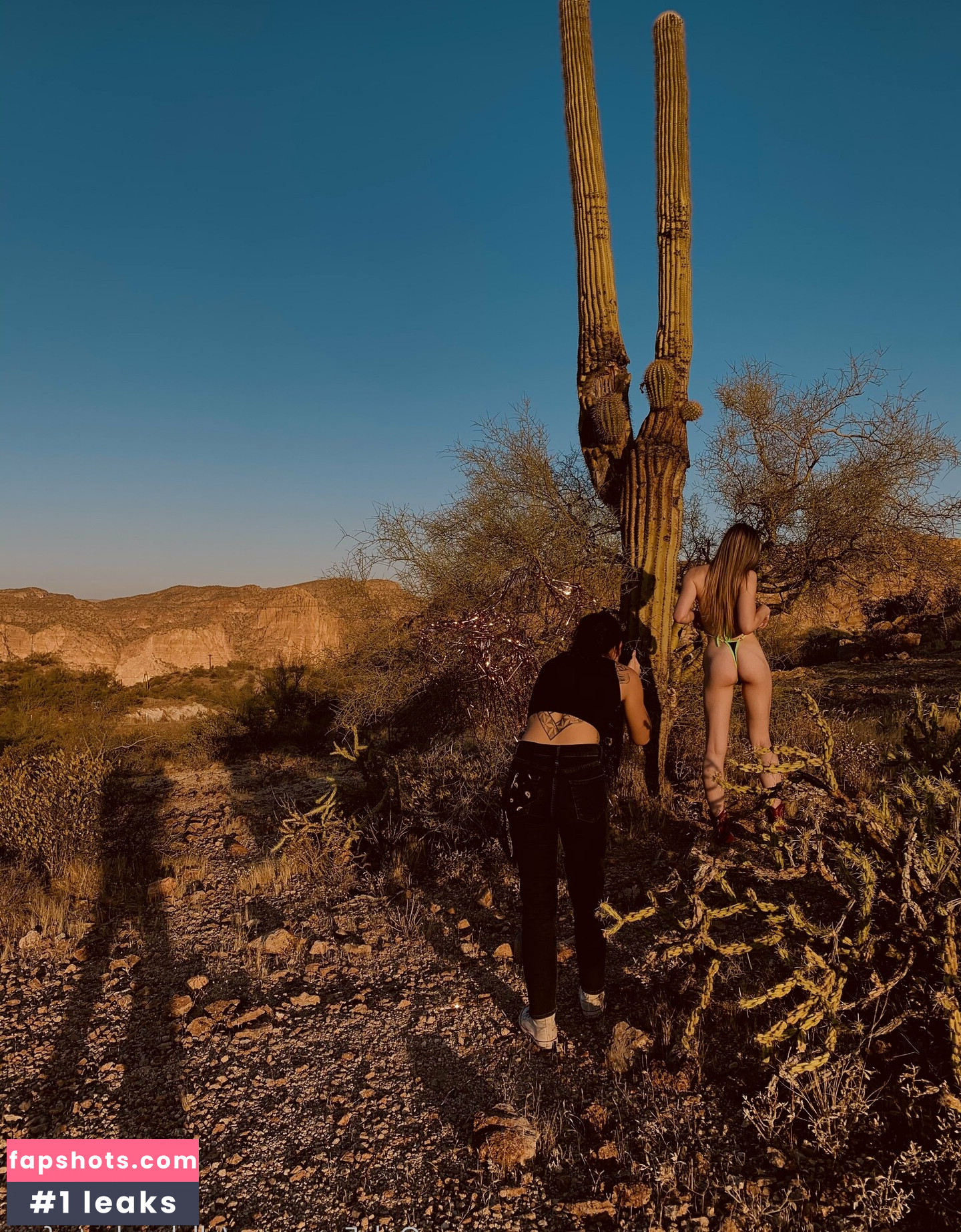 allygatorrzfree gallery photo #11