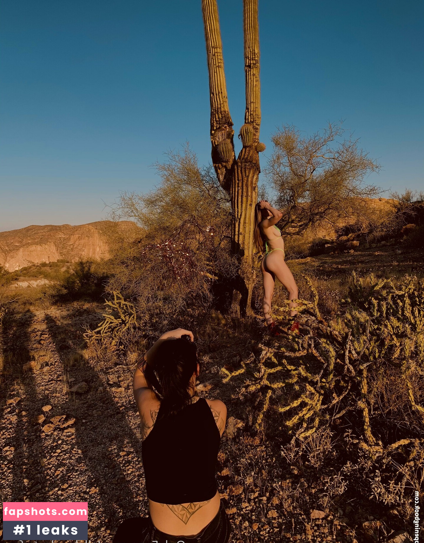 allygatorrzfree gallery photo #25