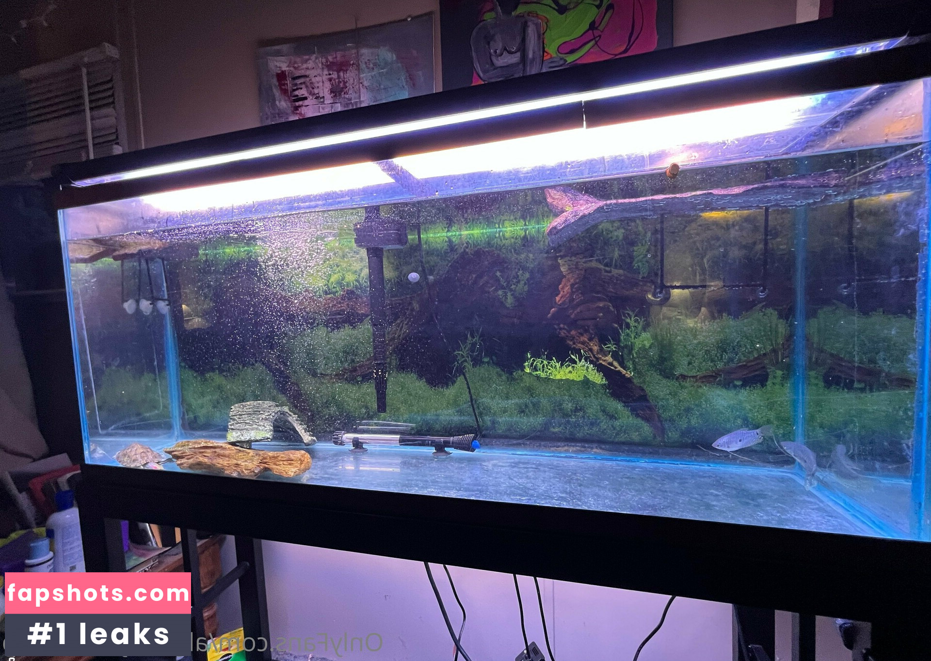 allyismyname_vip gallery photo #17