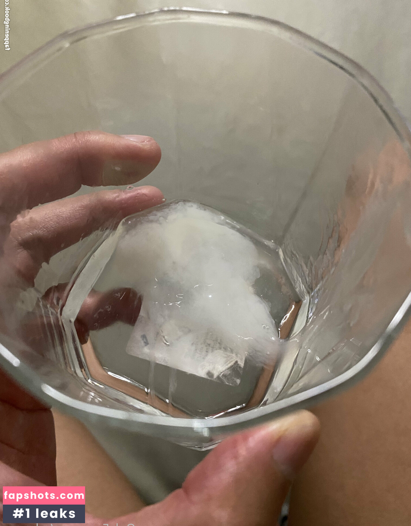 alpaca_bkk gallery photo #28