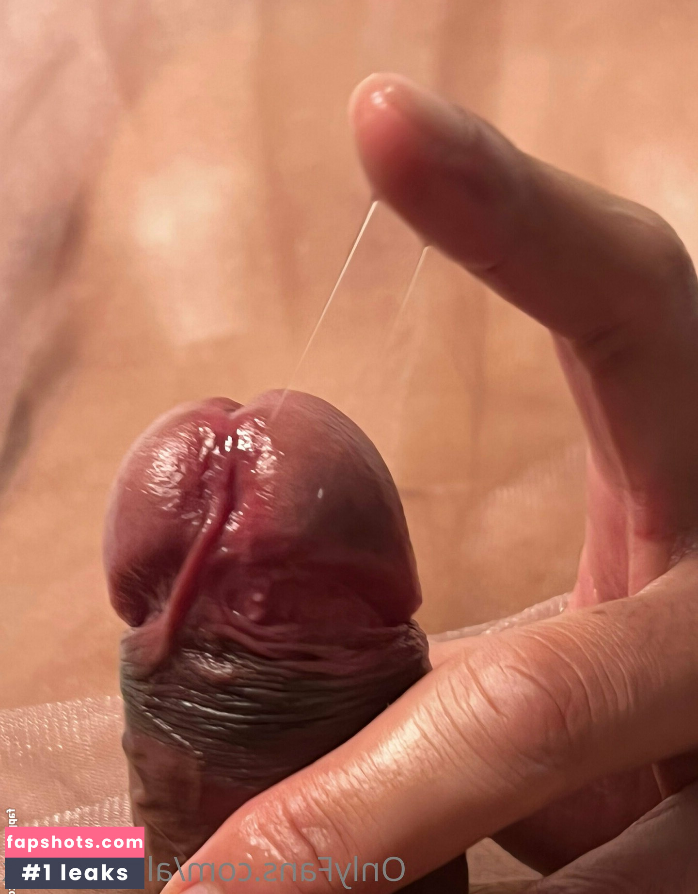 alpaca_bkk gallery photo #37