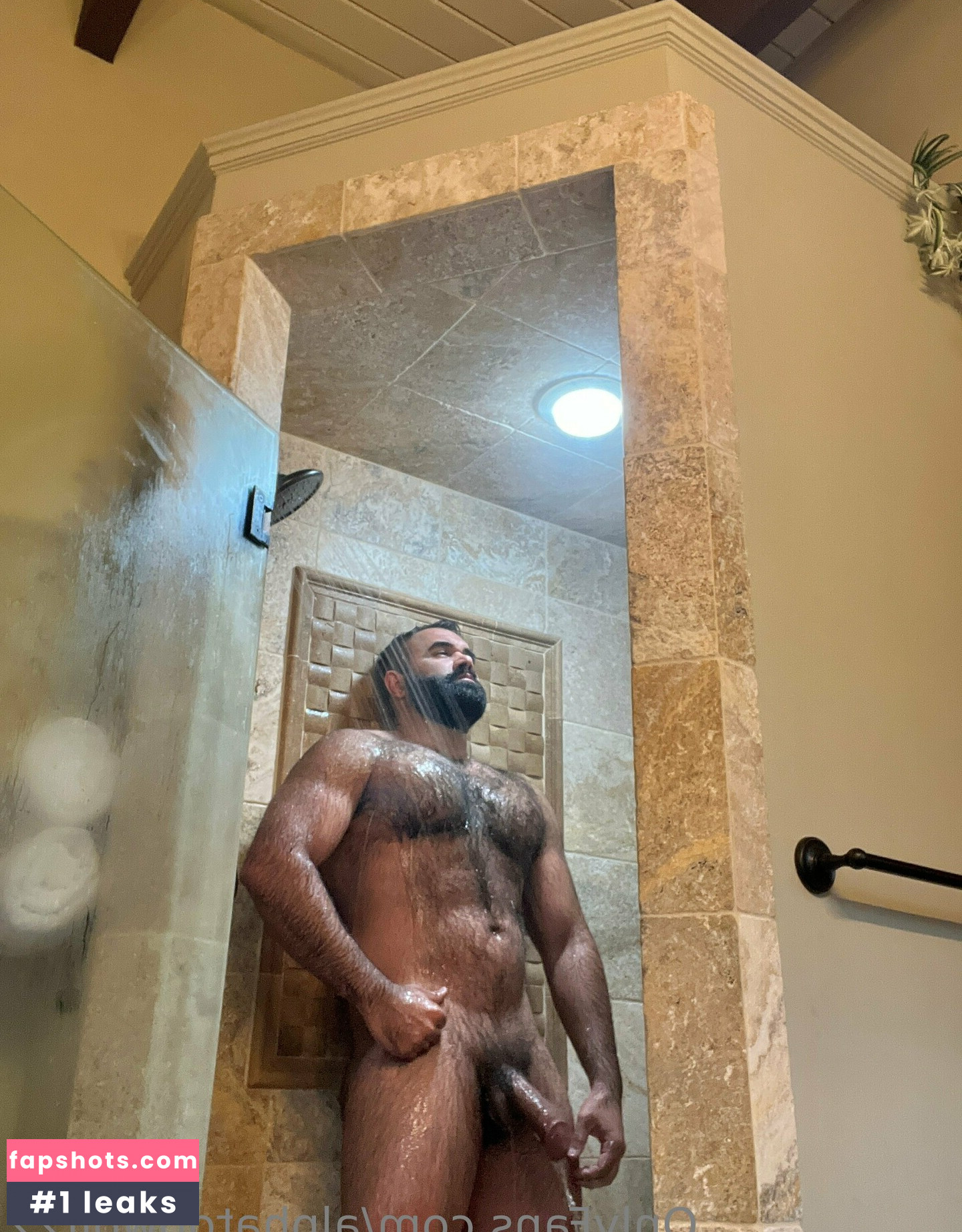 alphatopwolf22 Filtración Desnuda OnlyFans Foto #26 - Fapshots