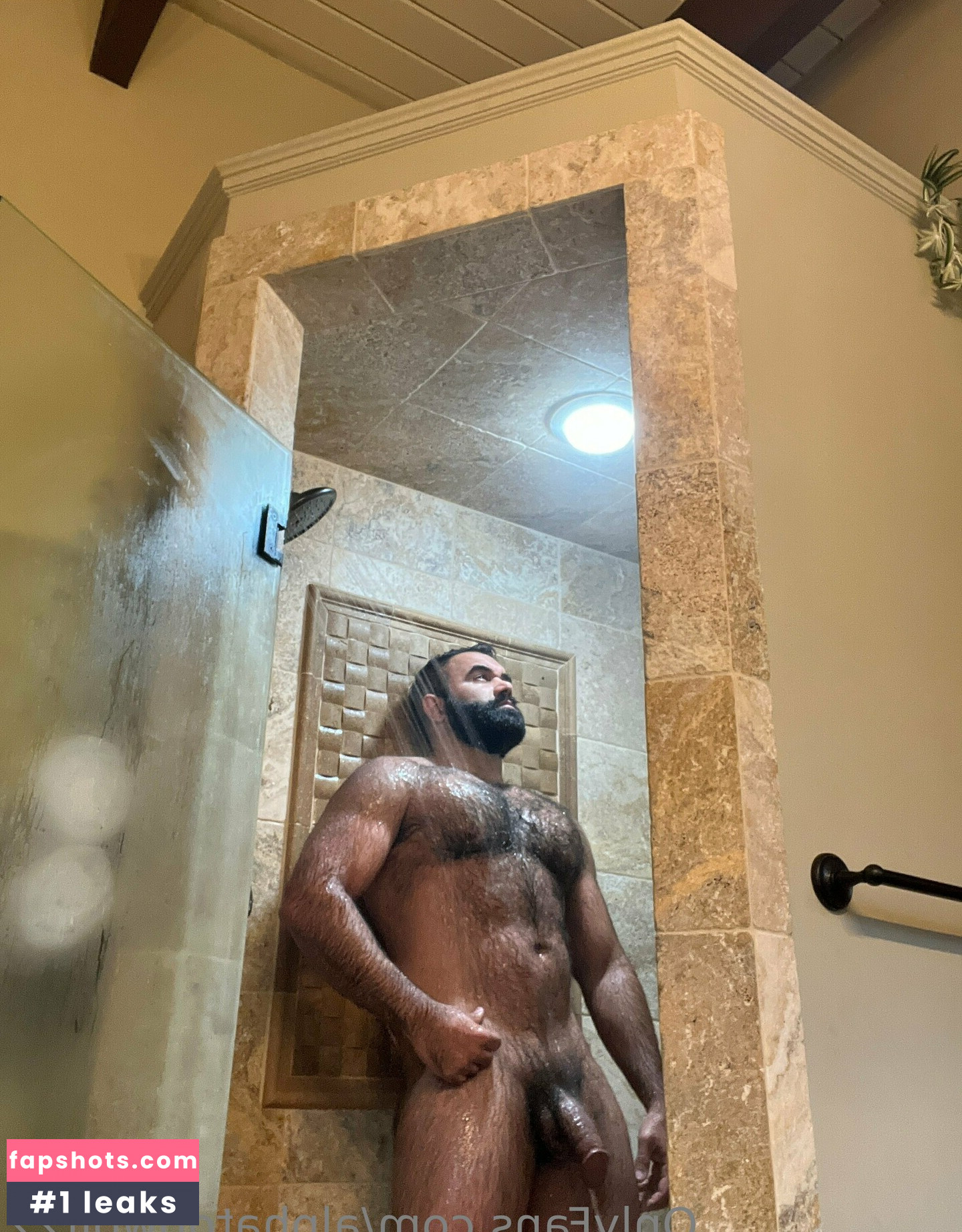 alphatopwolf22 Filtración Desnuda OnlyFans Foto #27 - Fapshots