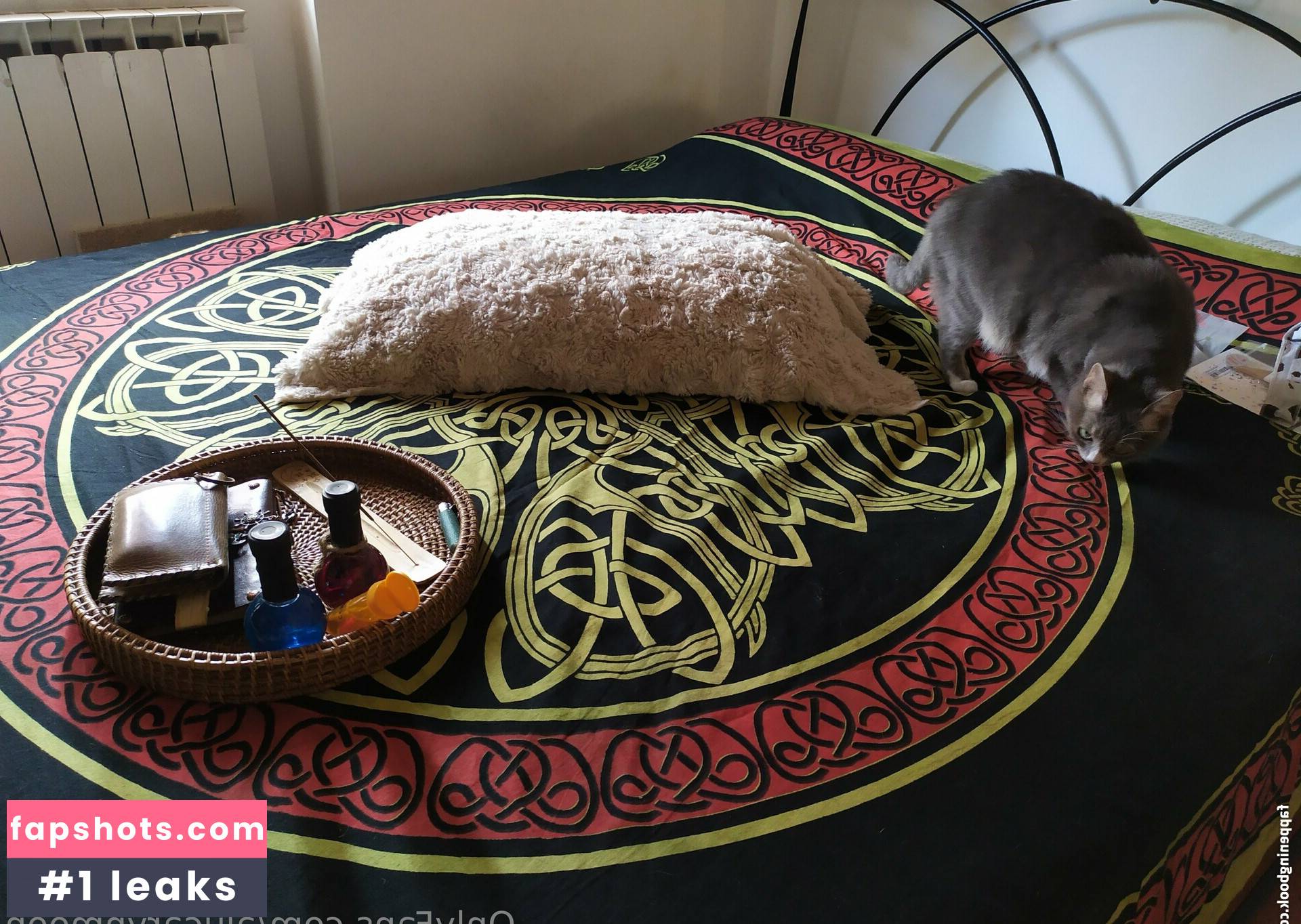 alucarynmoon Nude Leaks OnlyFans Photos #18 - LeakJerk