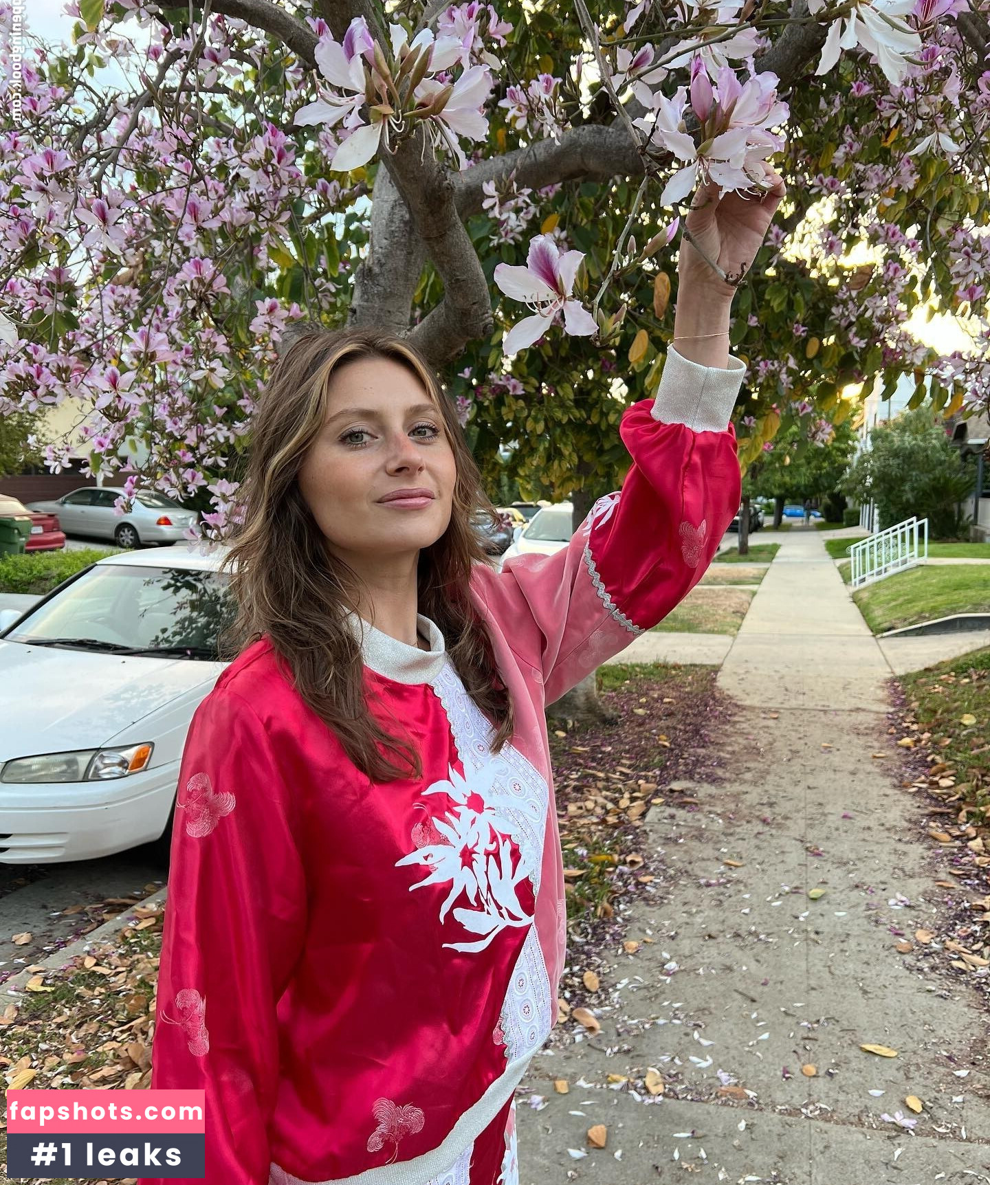 Aly Michalka Nahé úniky fotek pouze od fanoušků #139 - Fapshots