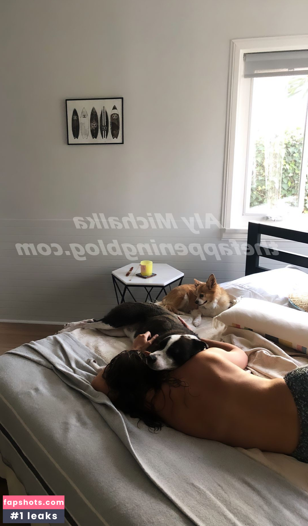 Aly Michalka Nahé úniky fotek pouze od fanoušků #157 - Fapshots