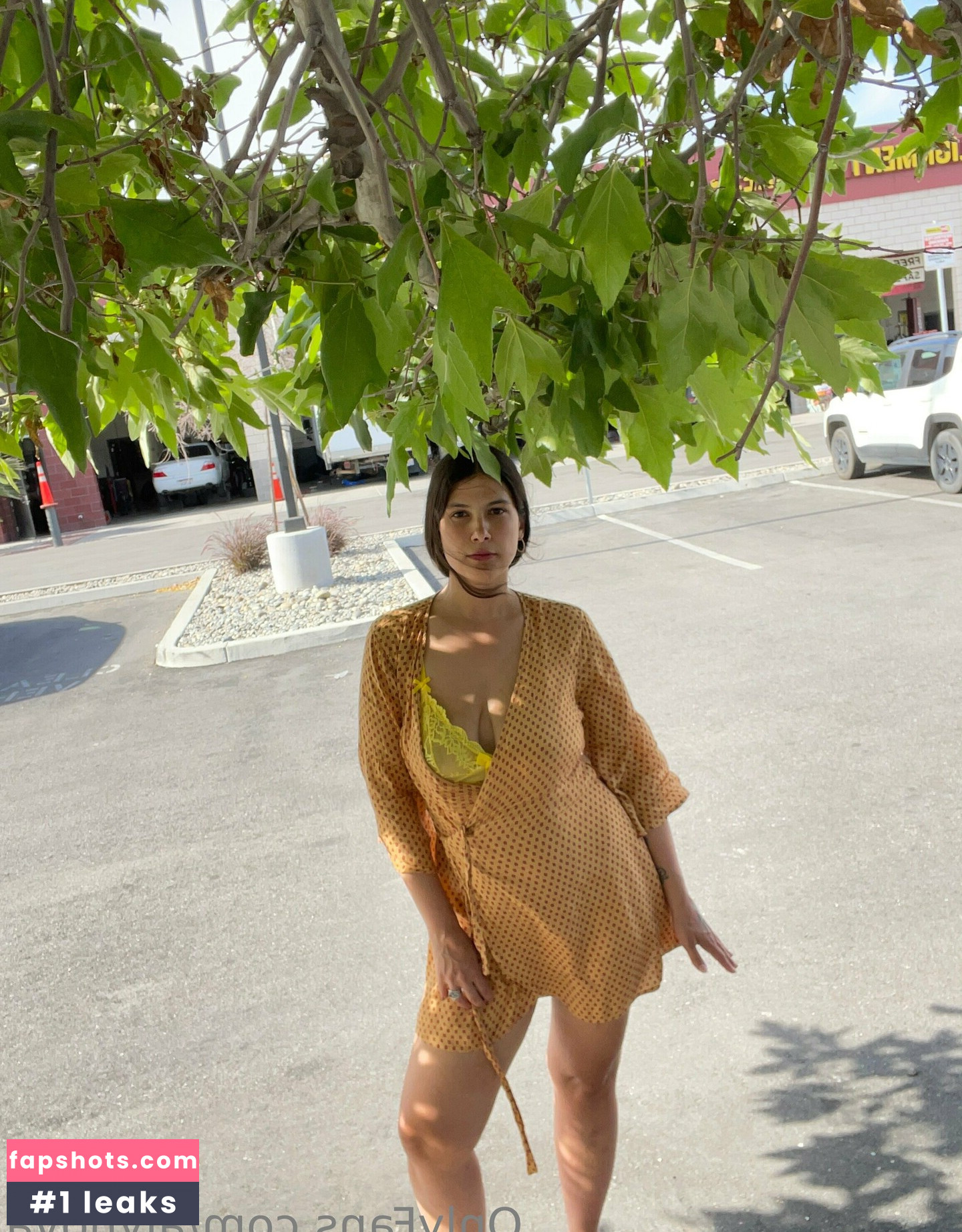 Aly Nova gallery photo #12