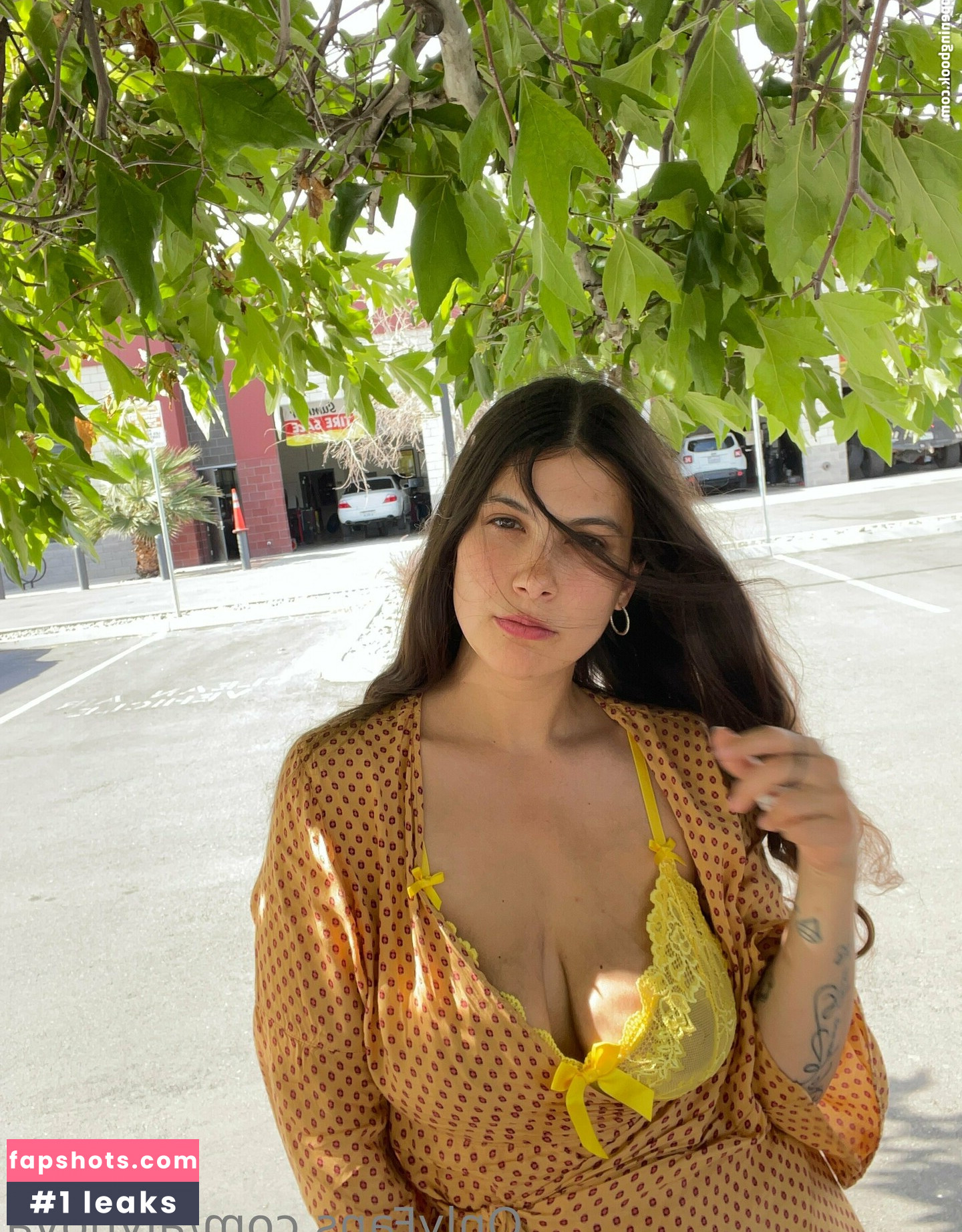 Aly Nova gallery photo #7