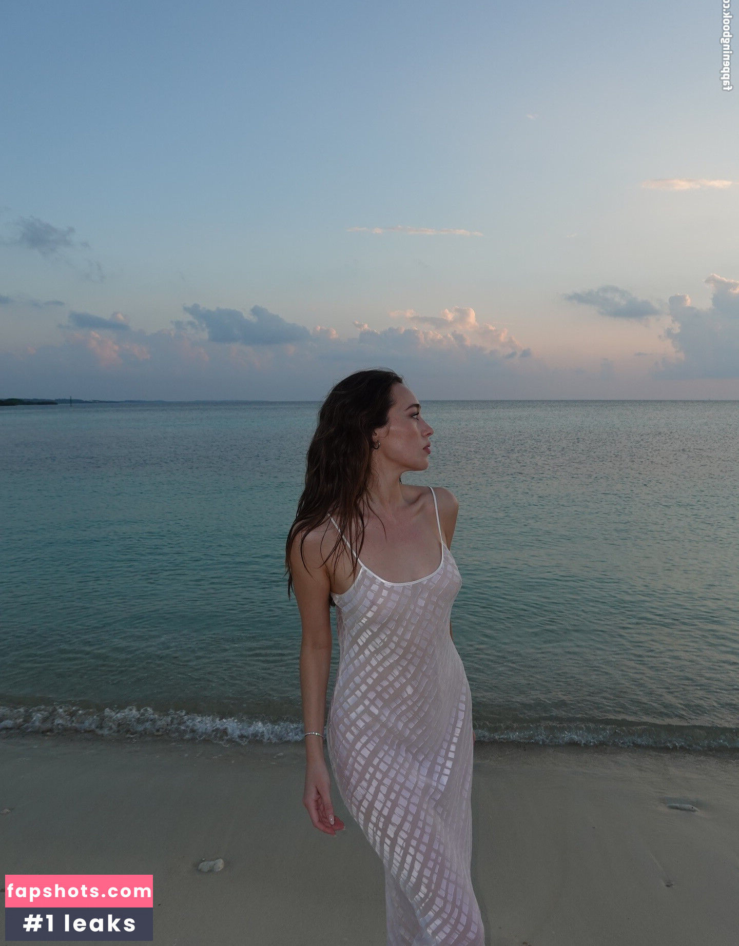 Alycia Debnam-Carey Nahé úniky fotek pouze od fanoušků #8 - Fapshots