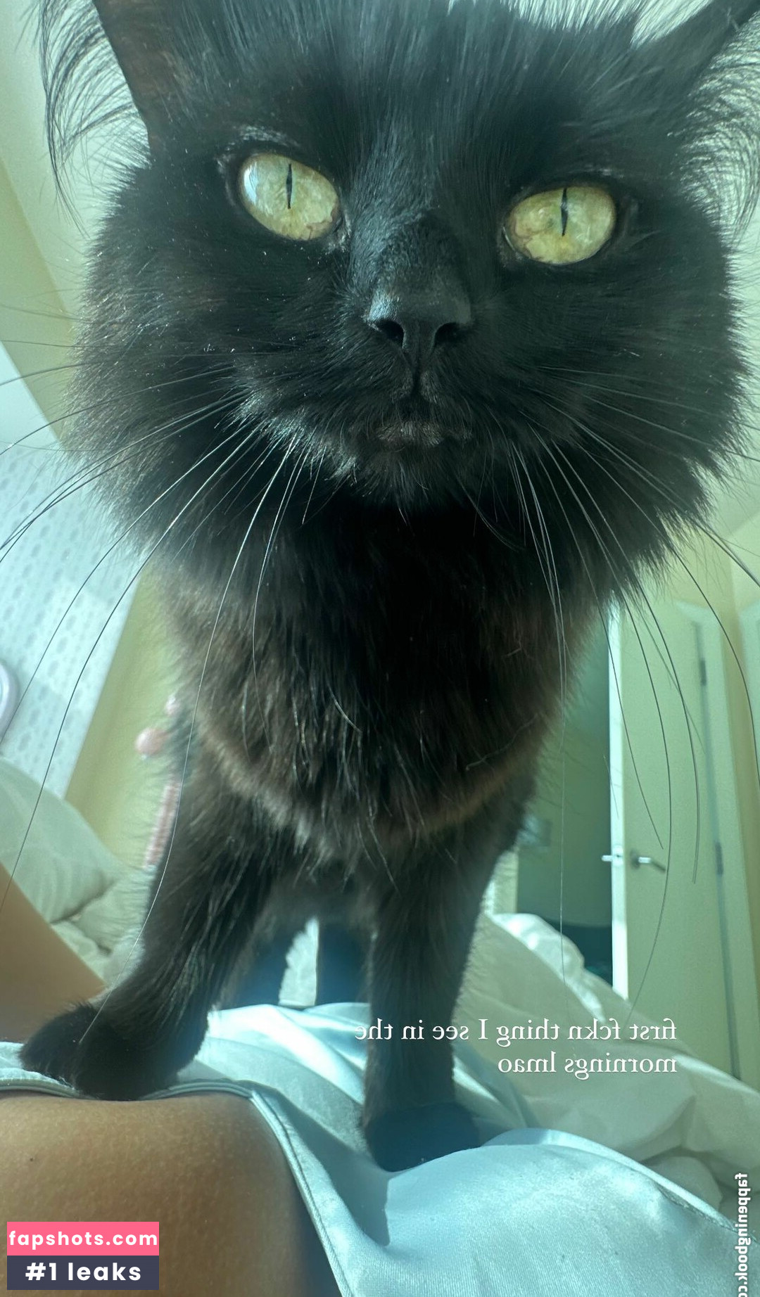 Alyssa Silos gallery photo #36