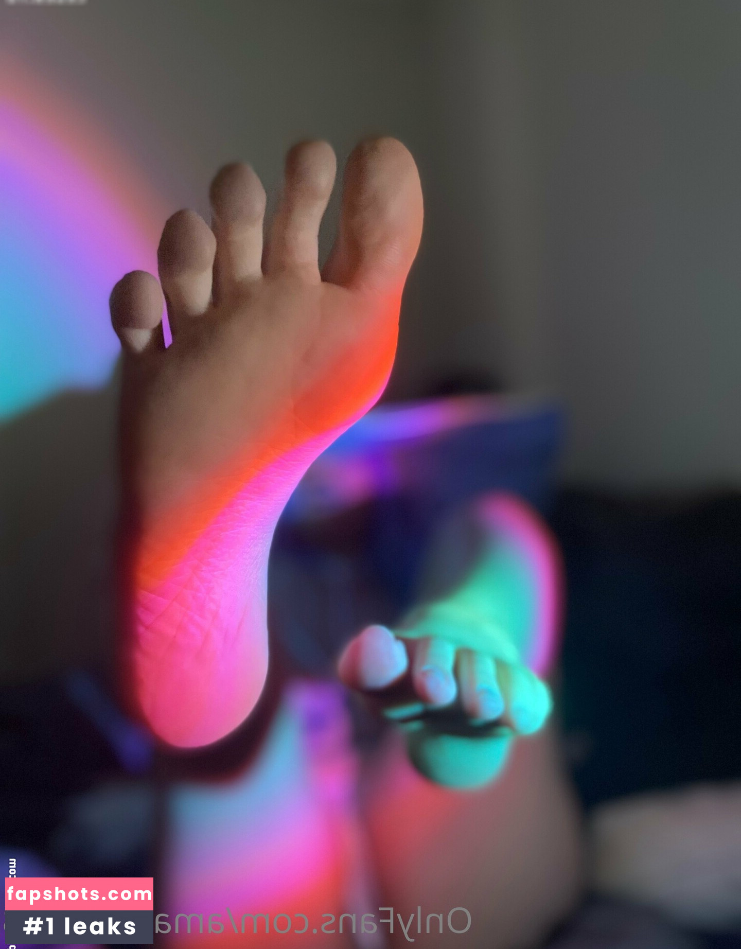 Amalia Rose gallery photo #29