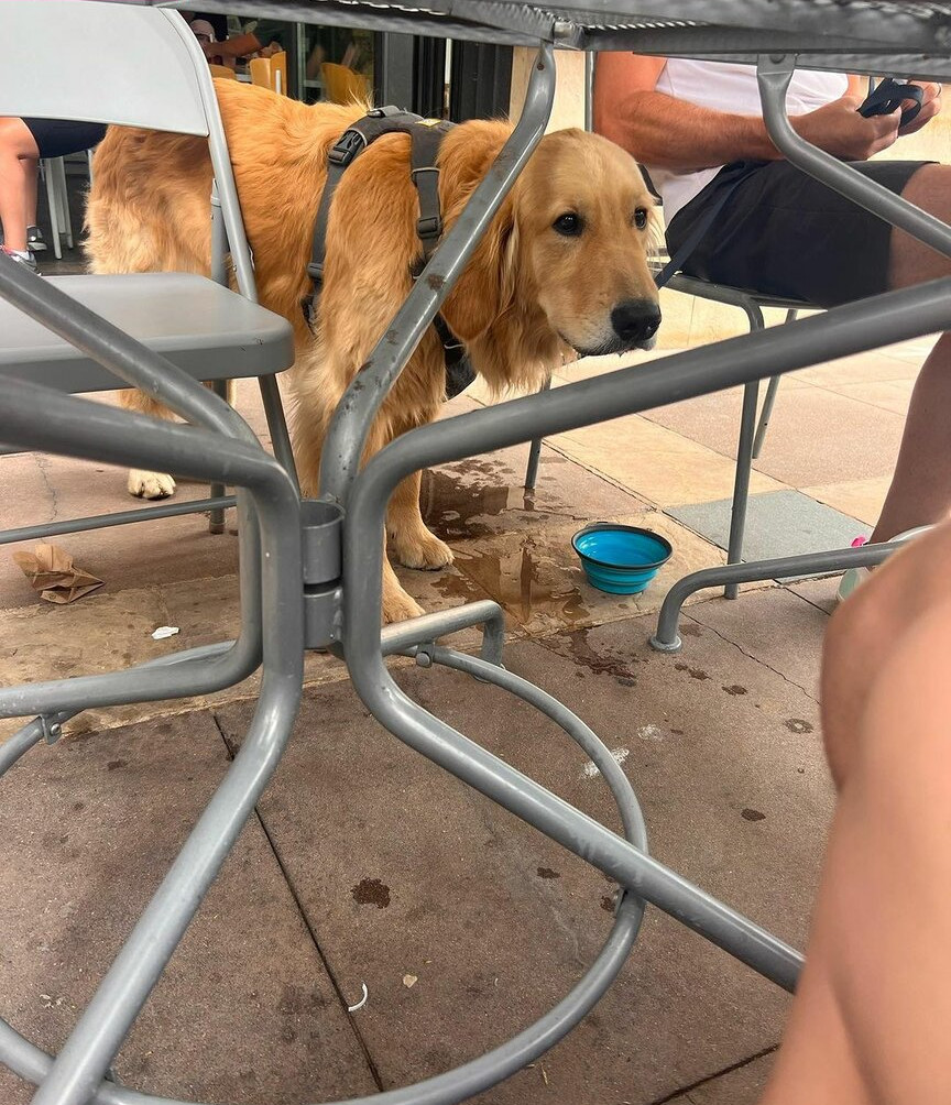 amanda-cerny gallery photo #1400