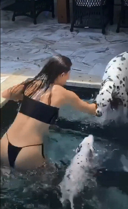 amanda-cerny gallery photo #1591