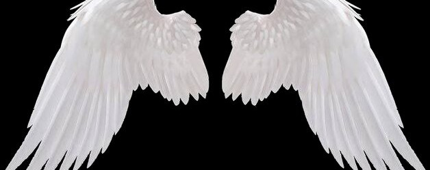 amanda-cerny gallery photo #2201