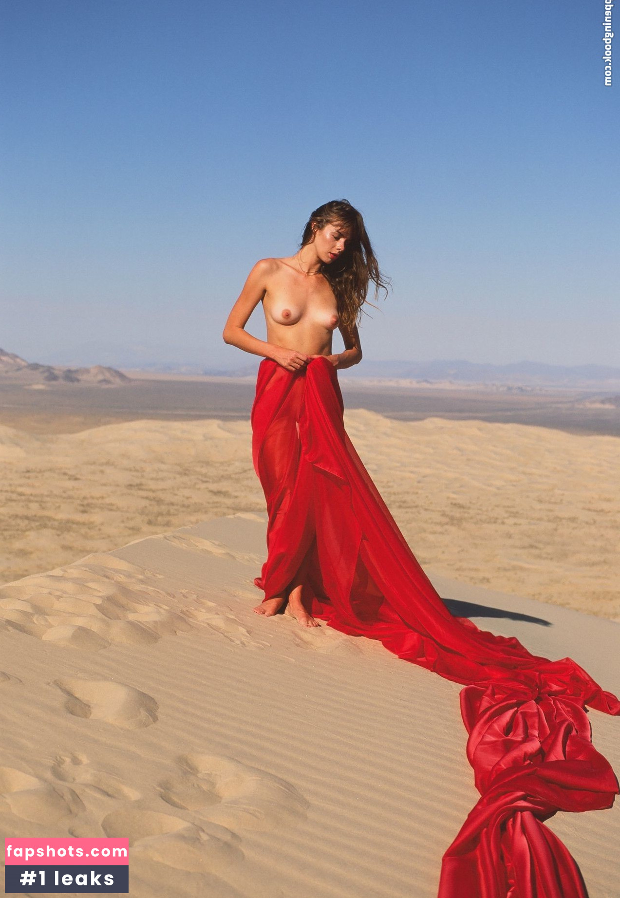 Amanda Stoer gallery photo #6