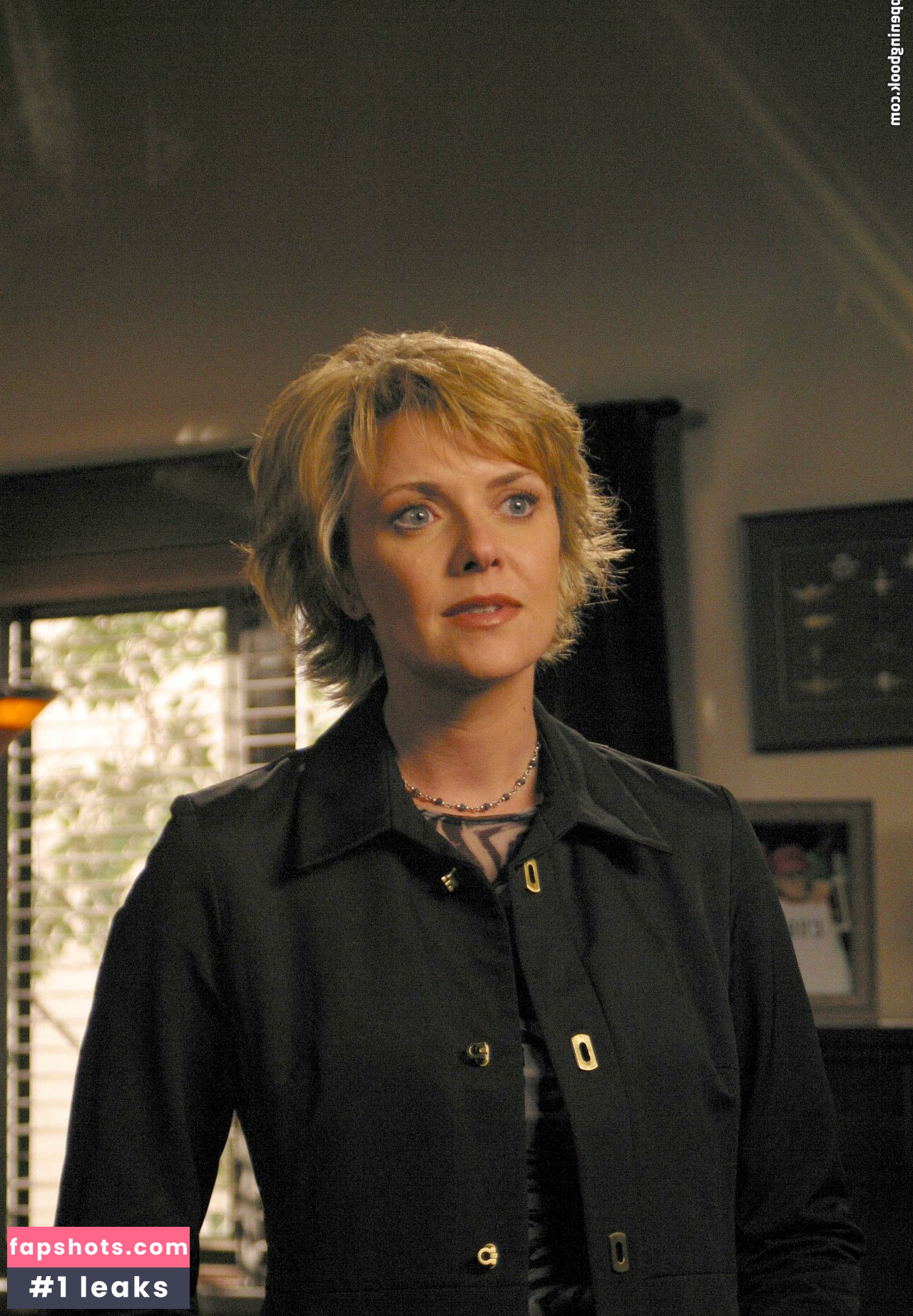 Amanda Tapping gallery photo #19