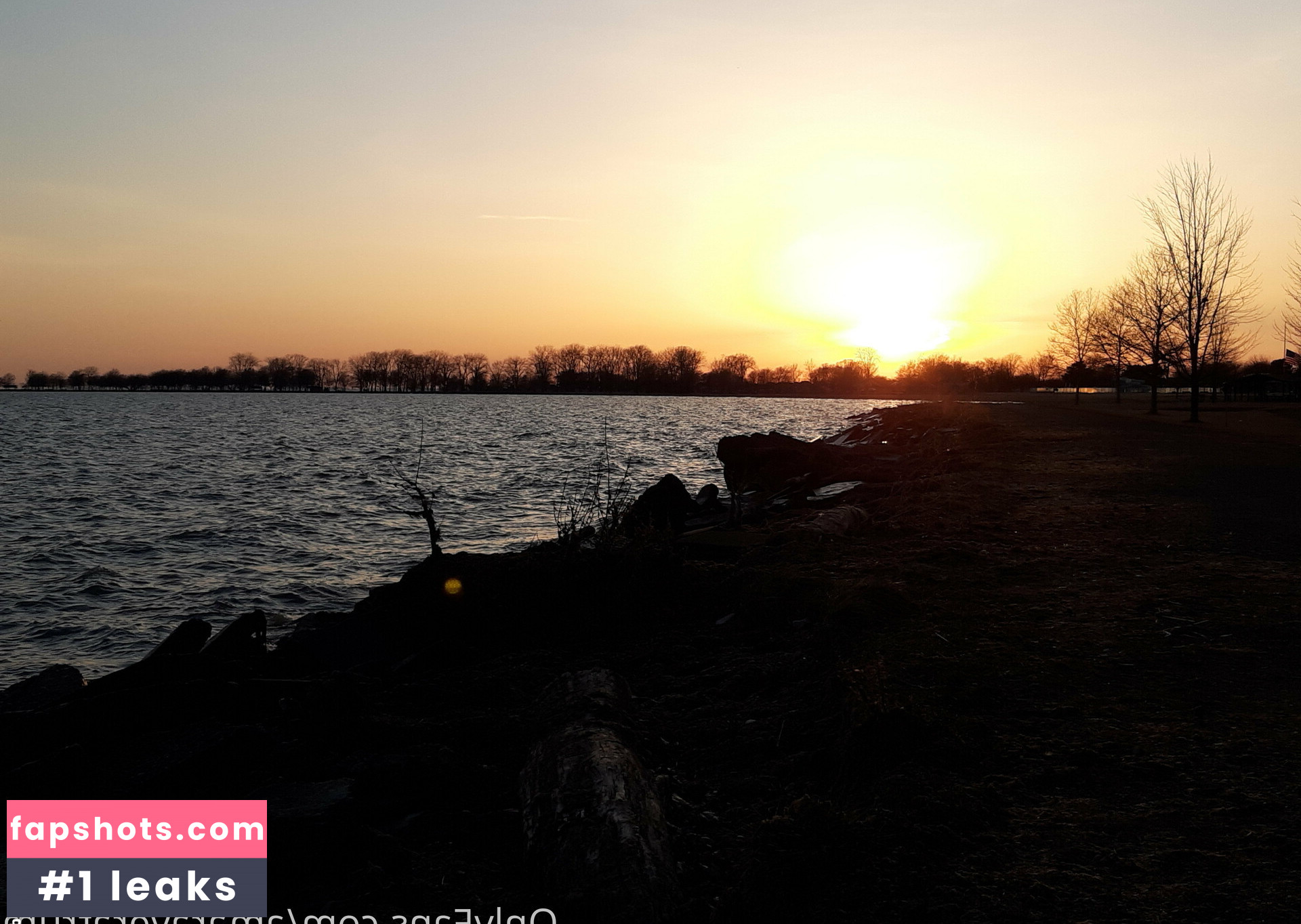 amaraveratrum gallery photo #21