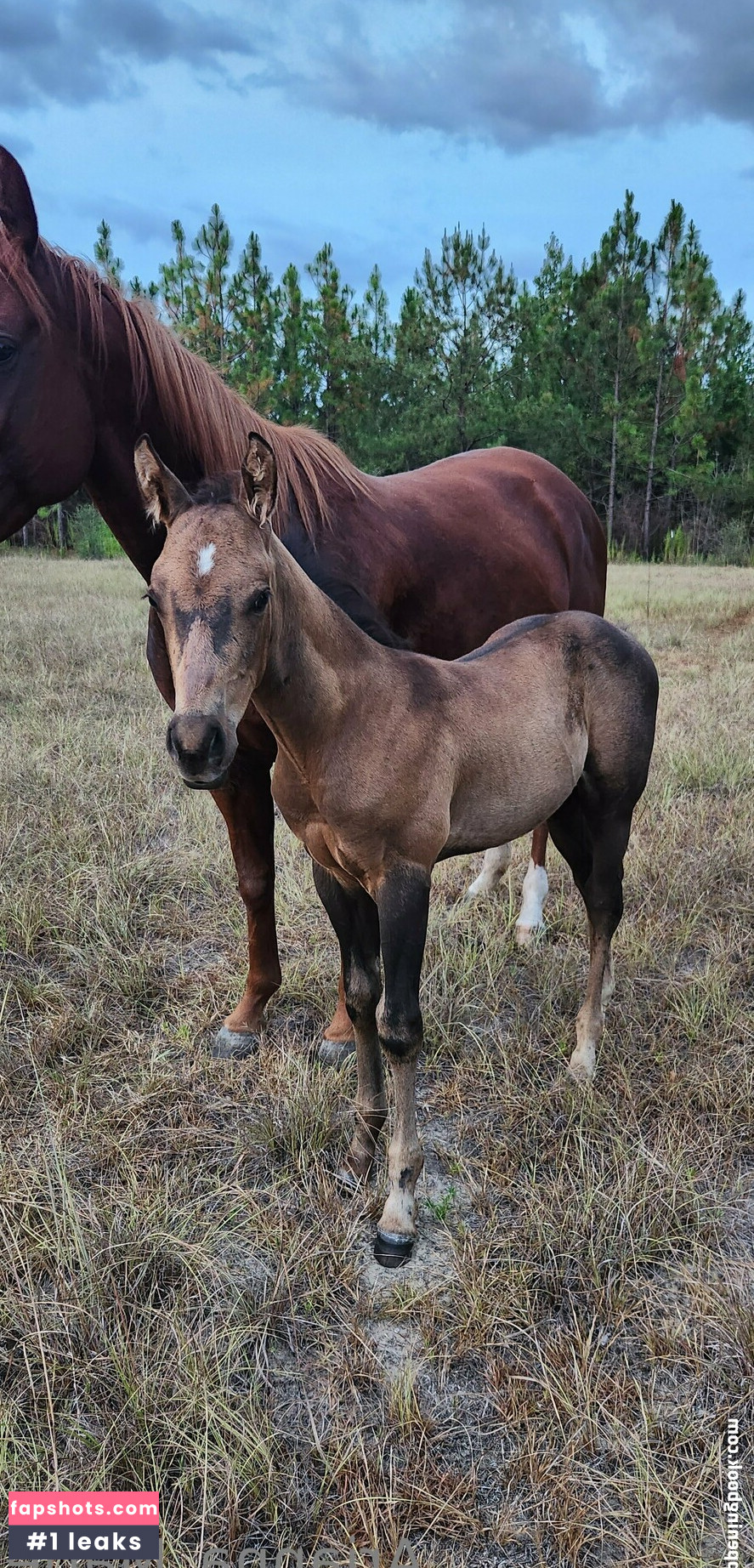 amarie301 gallery photo #40