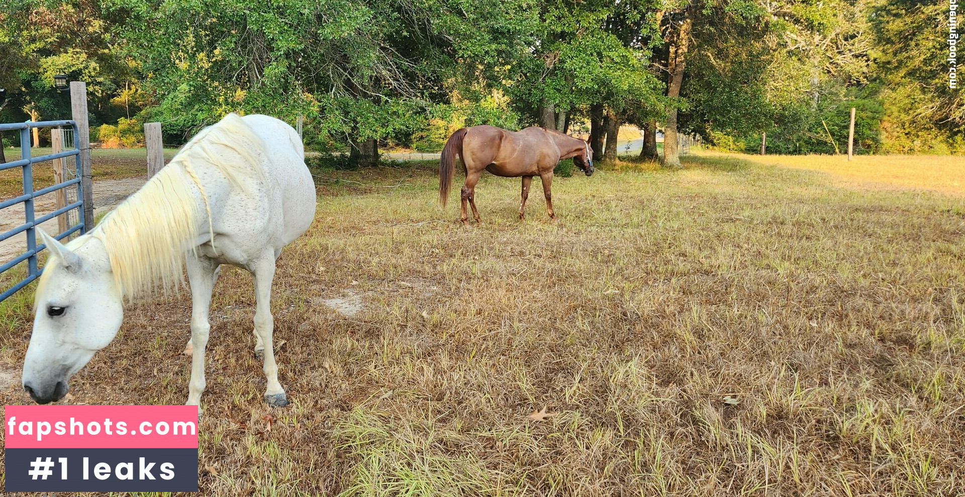 amarie301 gallery photo #46