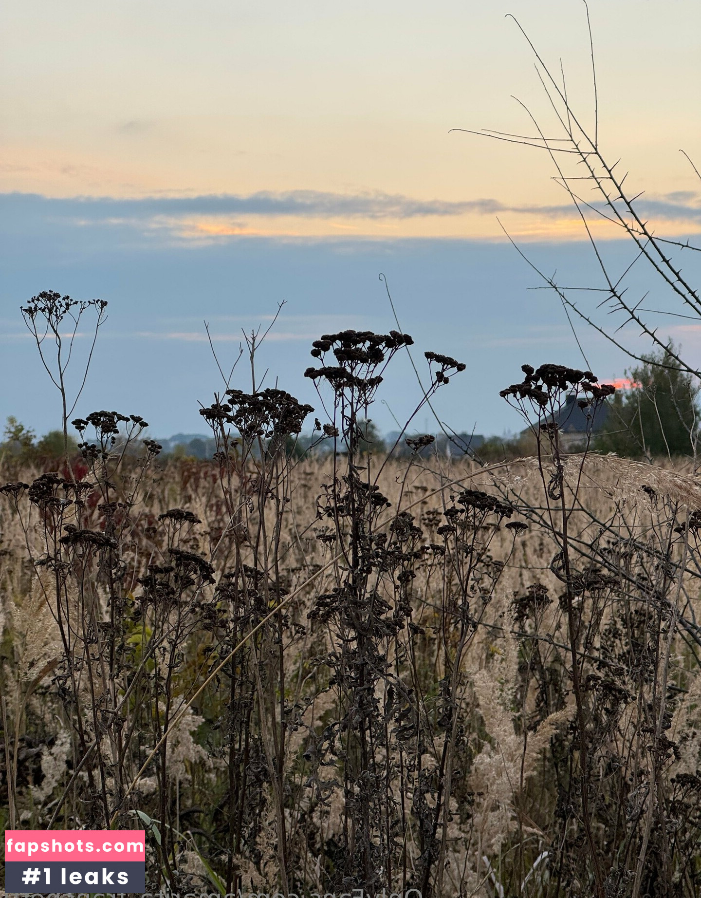 amarita_franchetti Nacktheit OnlyFans Fotos #3 - Fapshots