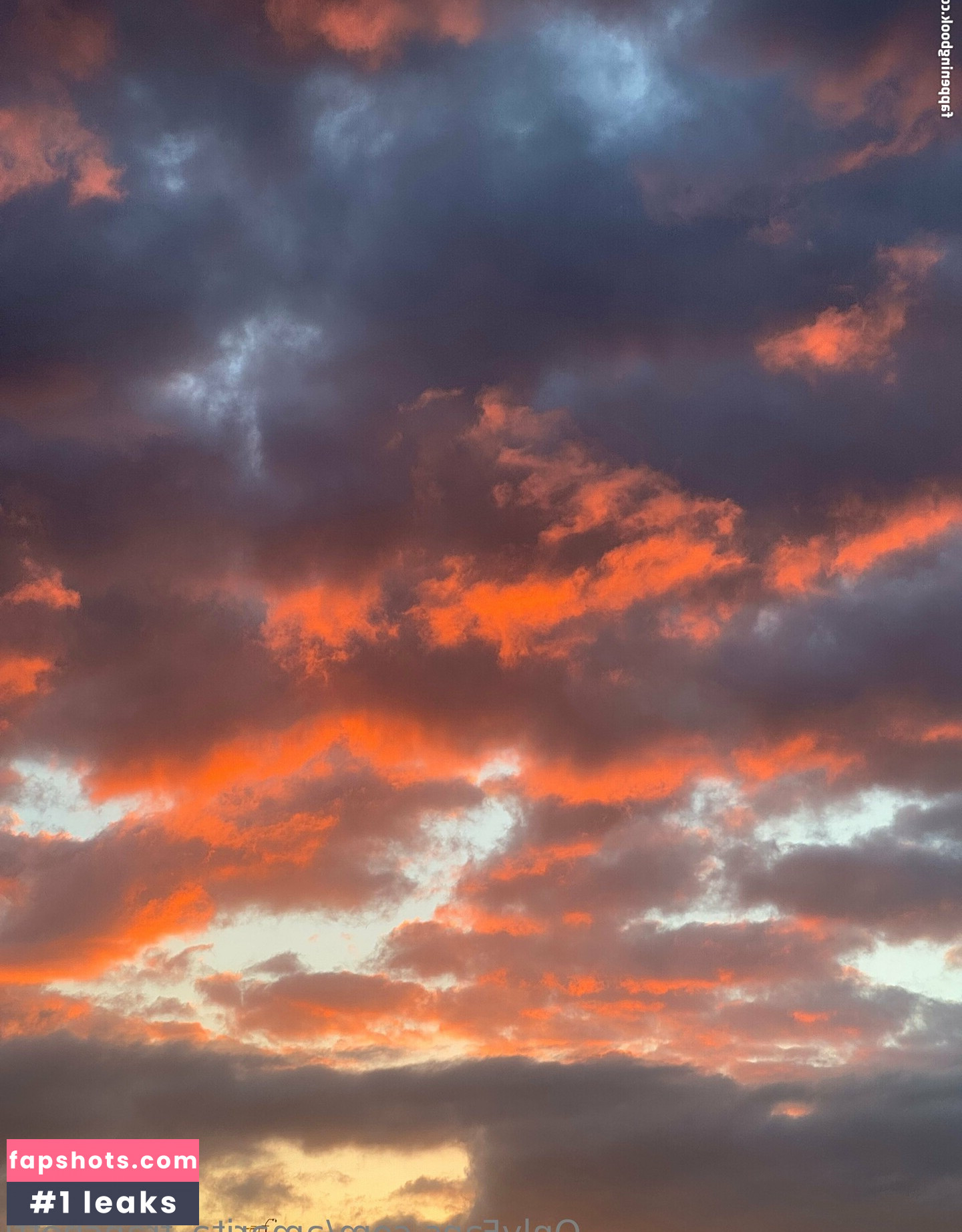 amarita_franchetti Nacktheit OnlyFans Fotos #31 - Fapshots