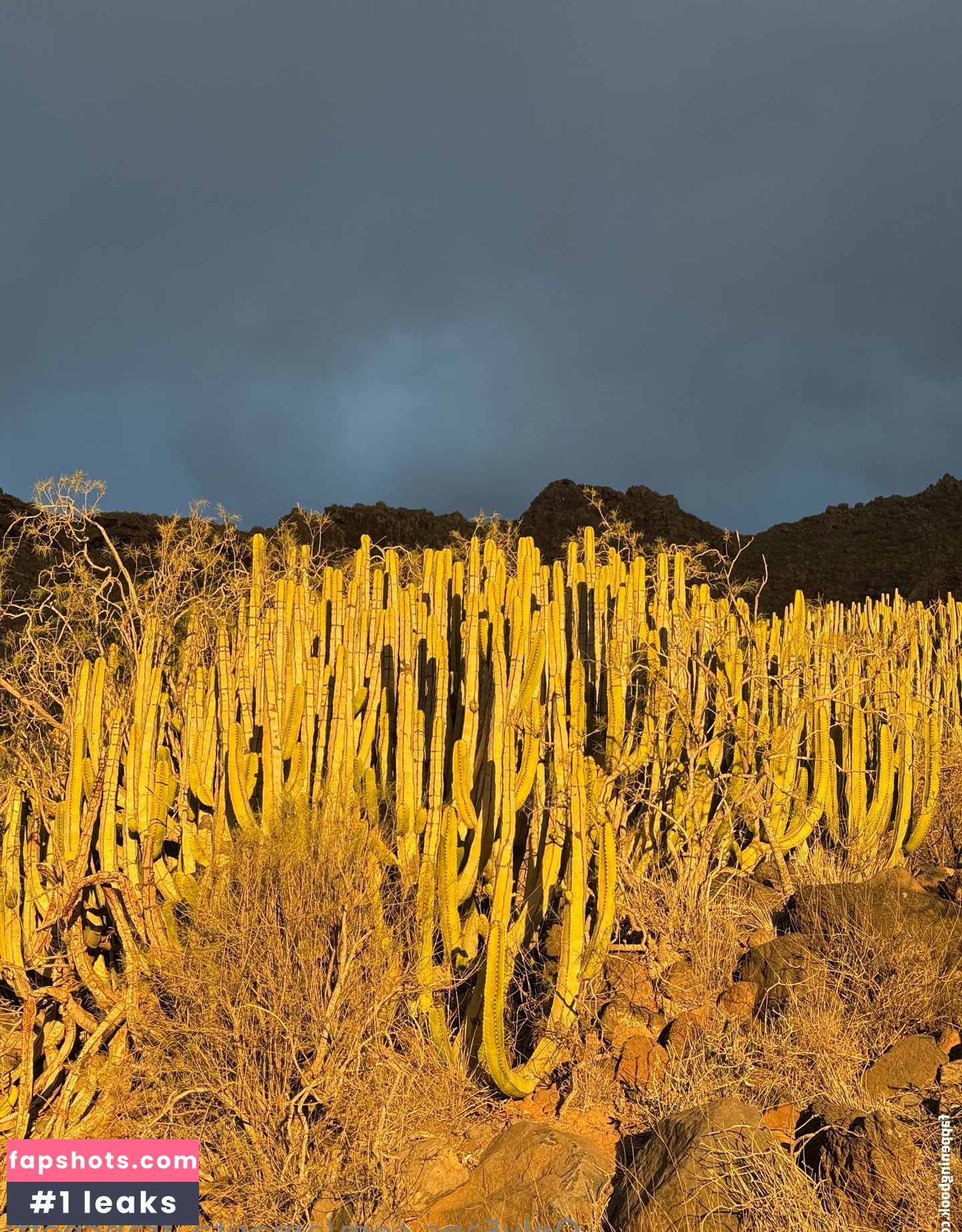 amarita_franchetti Nacktheit OnlyFans Fotos #38 - Fapshots