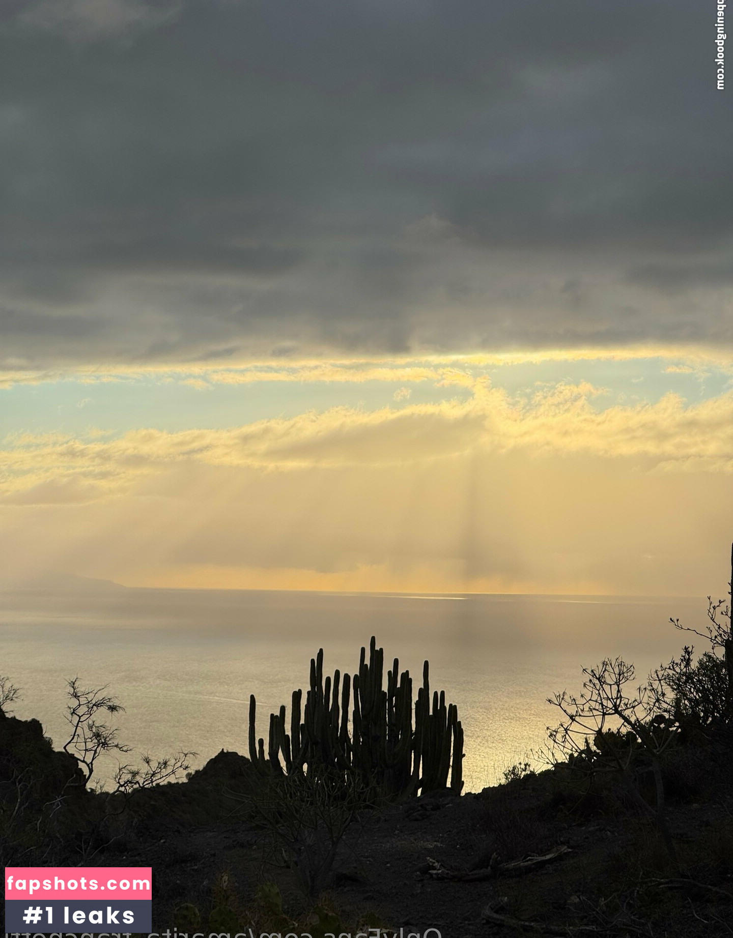 amarita_franchetti Nacktheit OnlyFans Fotos #39 - Fapshots