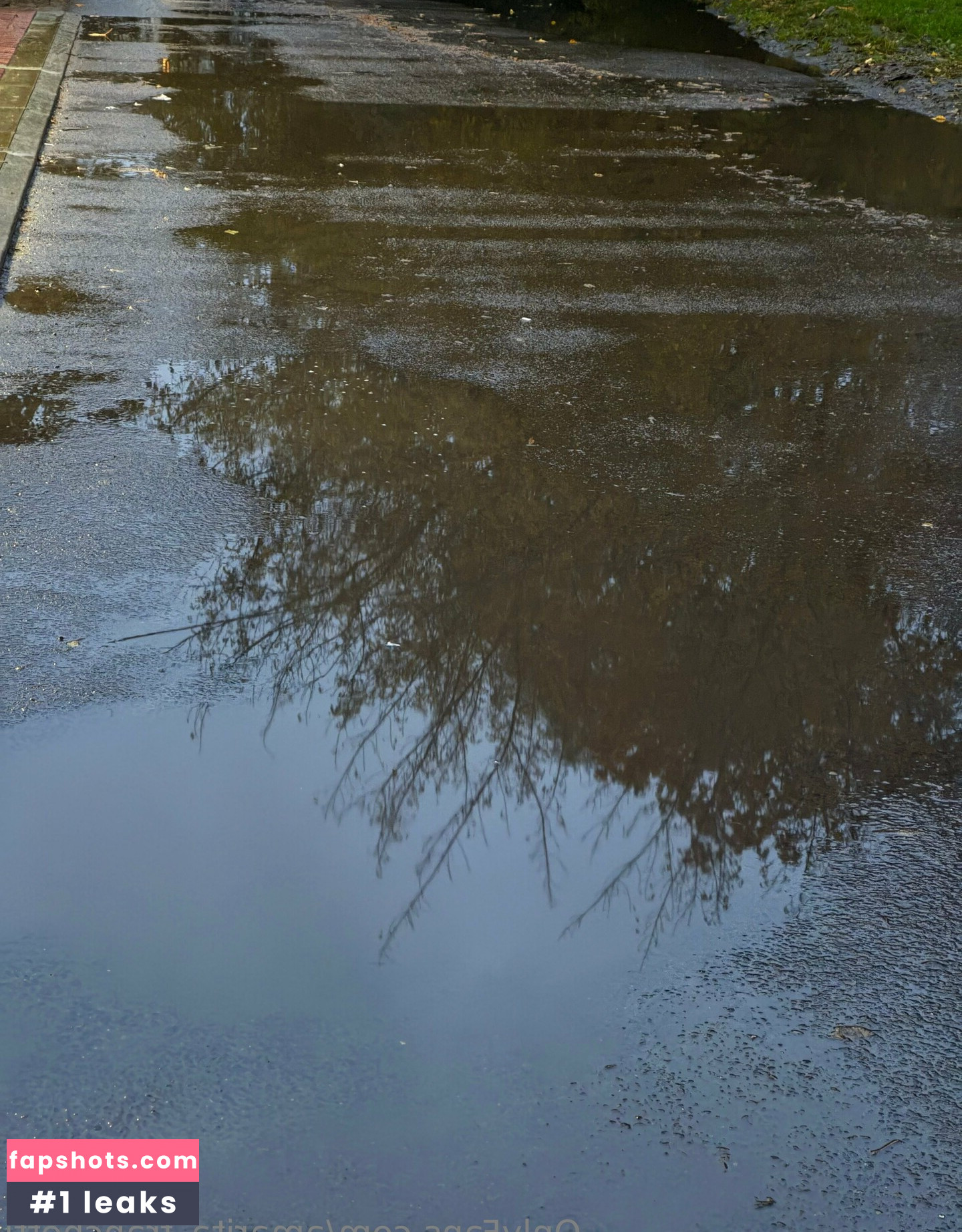 amarita_franchetti Nacktheit OnlyFans Fotos #5 - Fapshots